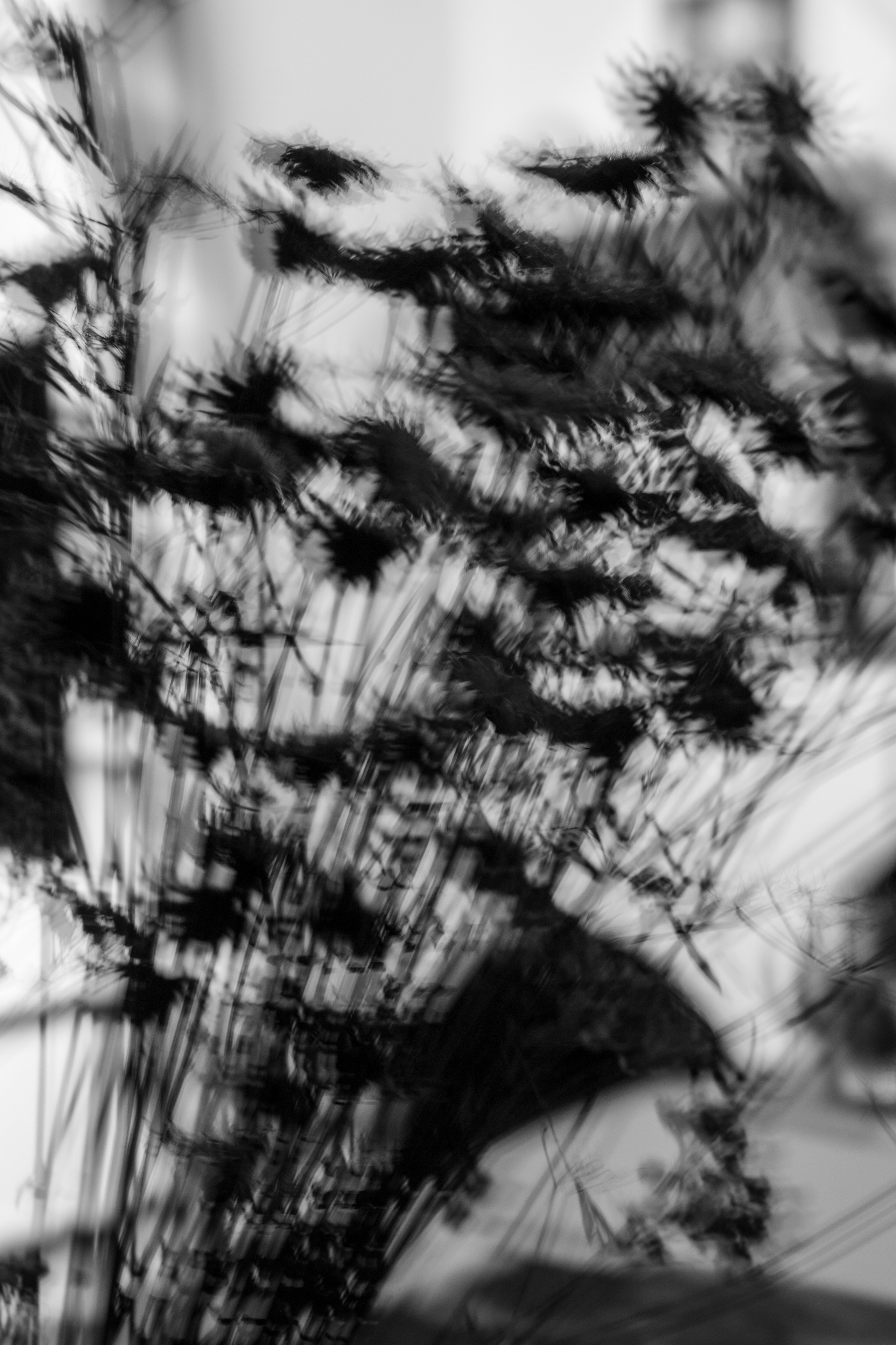 Монохром. Ваш фотограф Северск | Томск