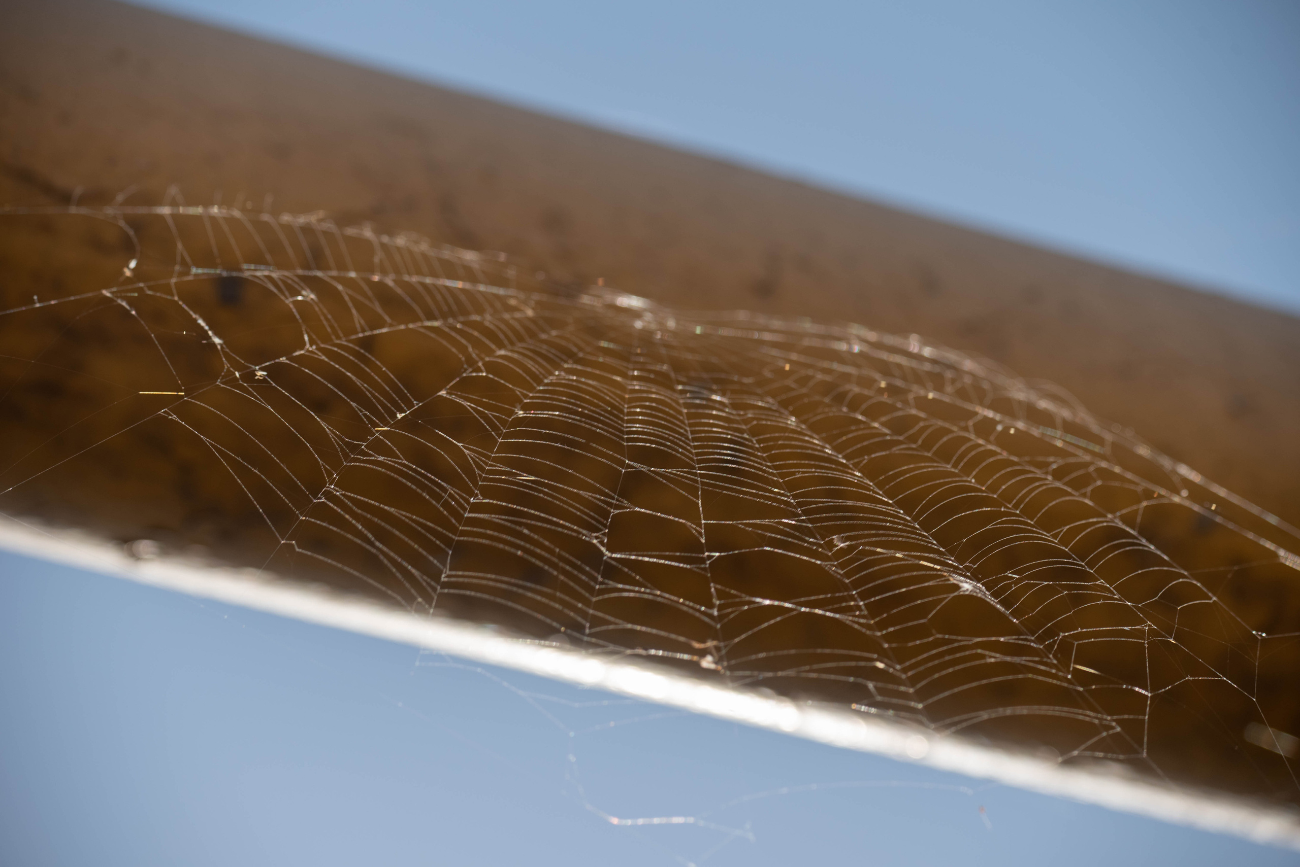 SwimRun. Творческий фотограф в Севастополе — Антонина Марченко