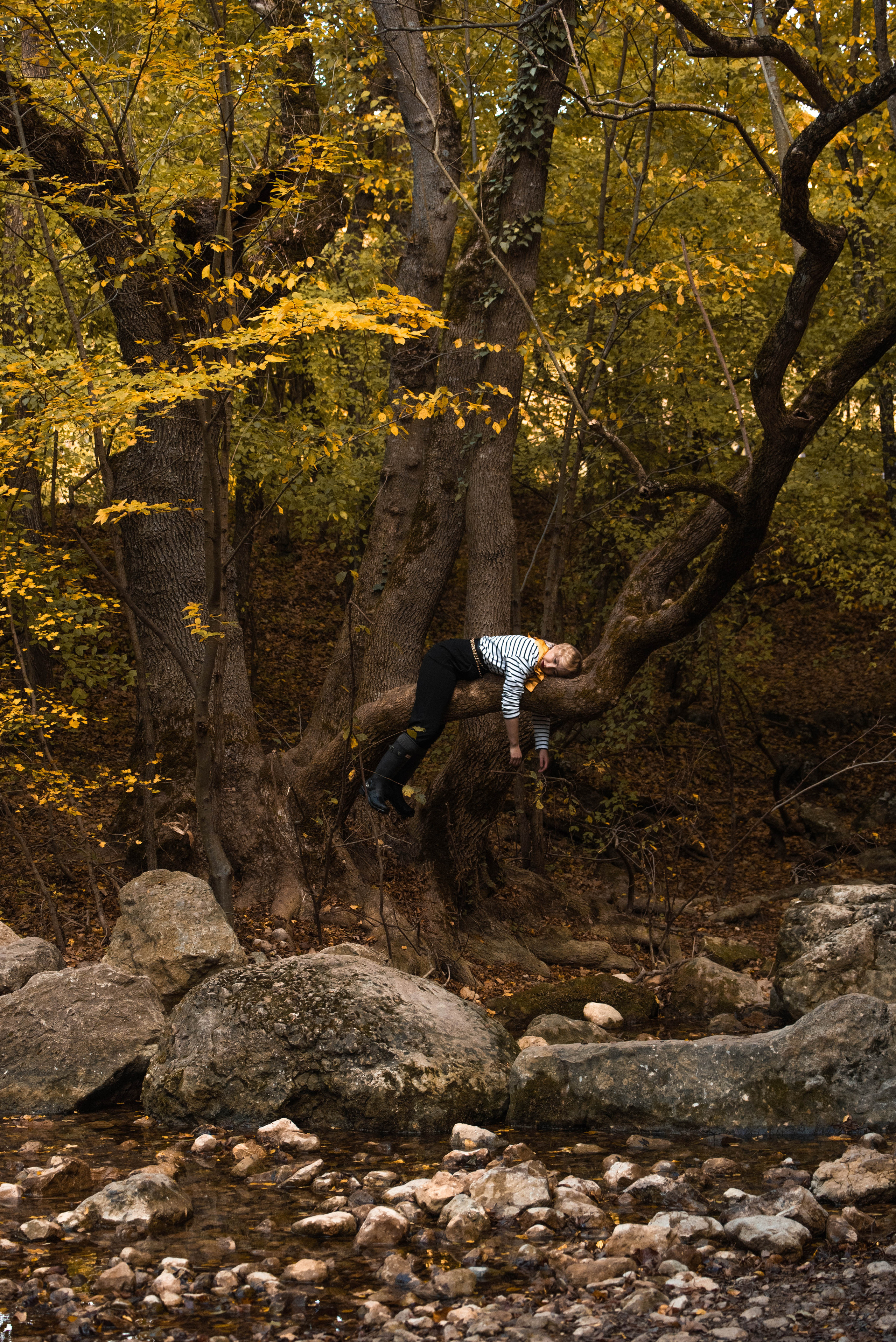 Звучание осени. Творческий фотограф в Севастополе — Антонина Марченко