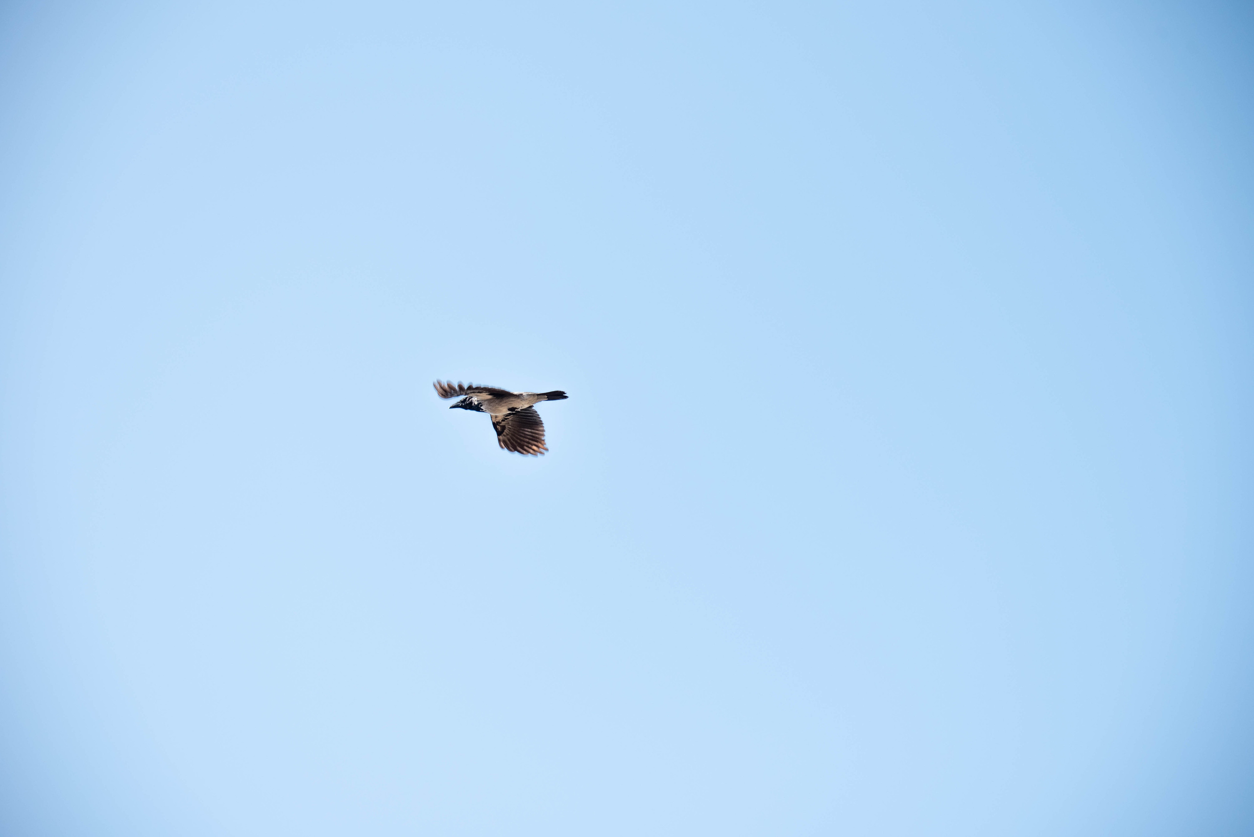 SwimRun. Творческий фотограф в Севастополе — Антонина Марченко