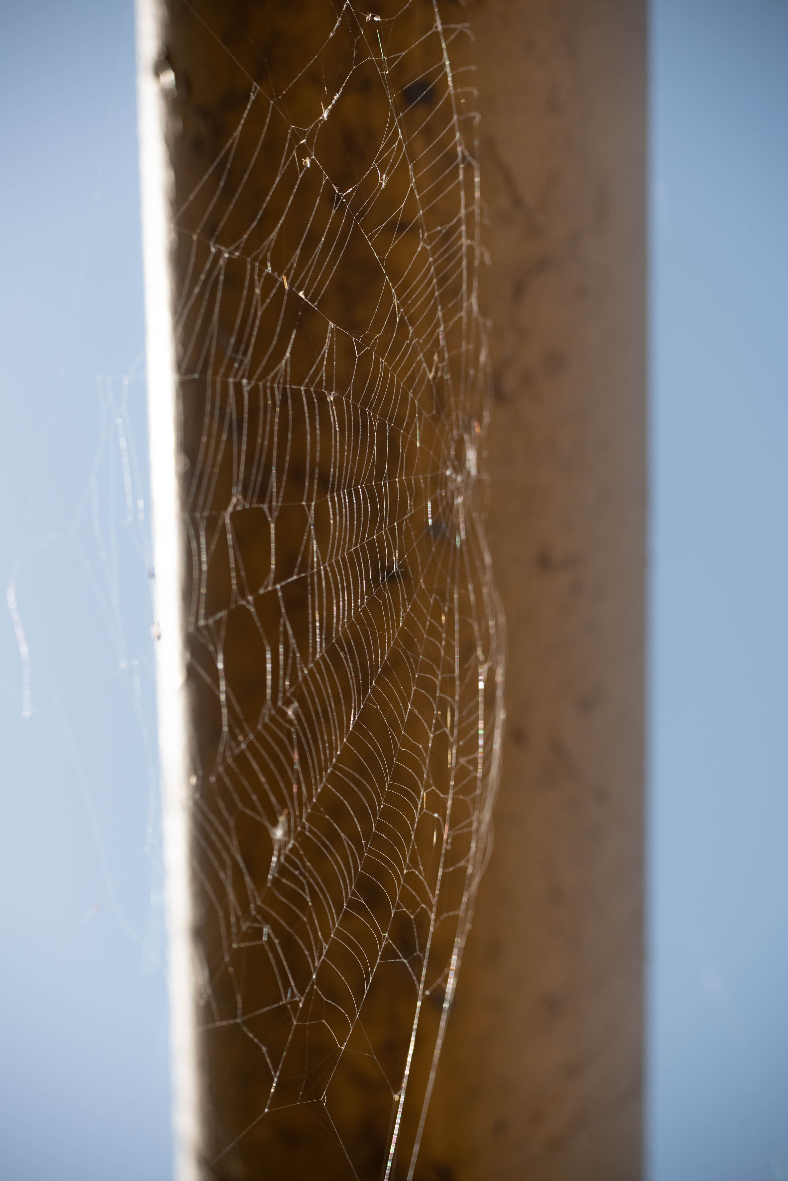 SwimRun. Творческий фотограф в Севастополе — Антонина Марченко