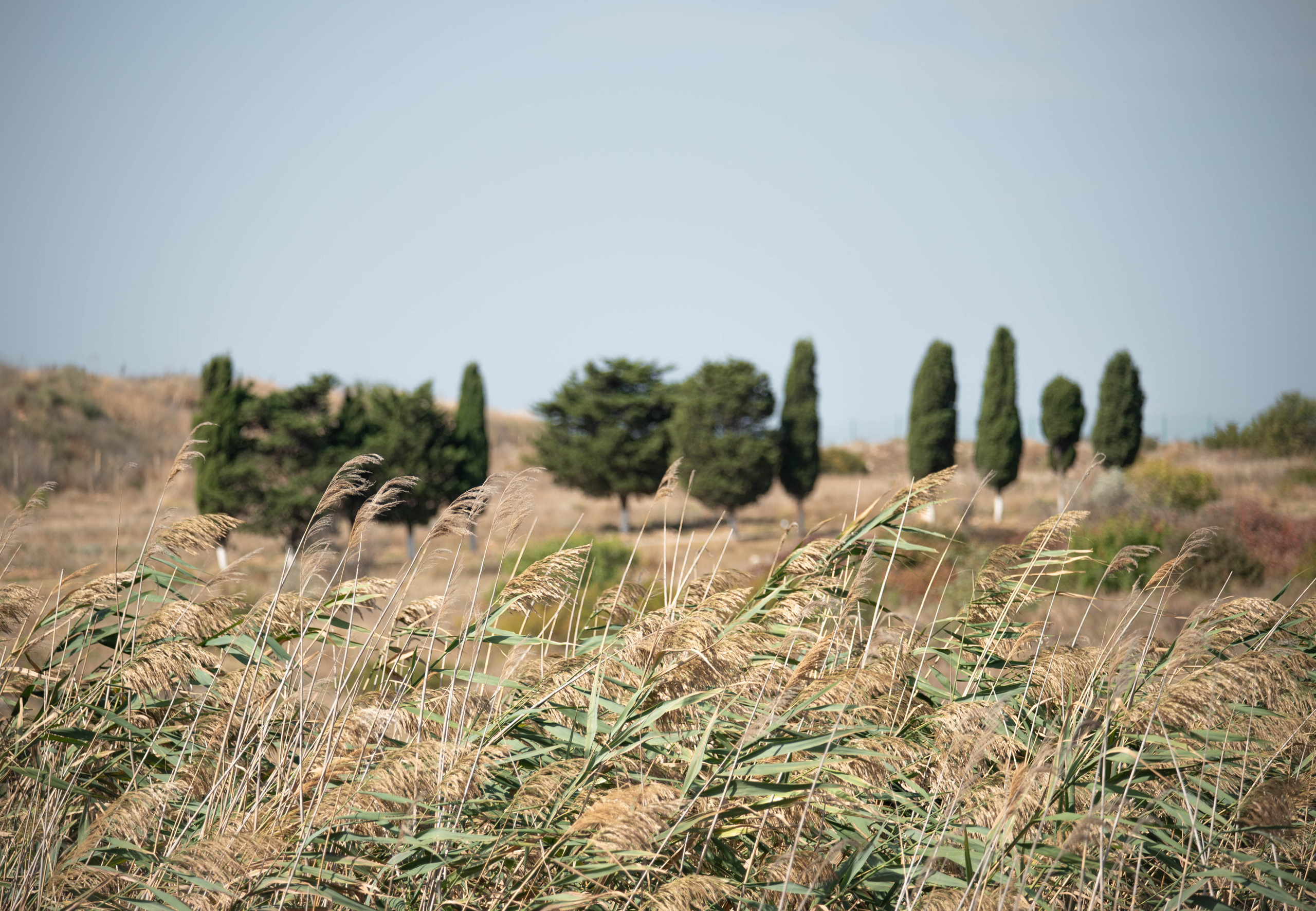 SwimRun. Творческий фотограф в Севастополе — Антонина Марченко