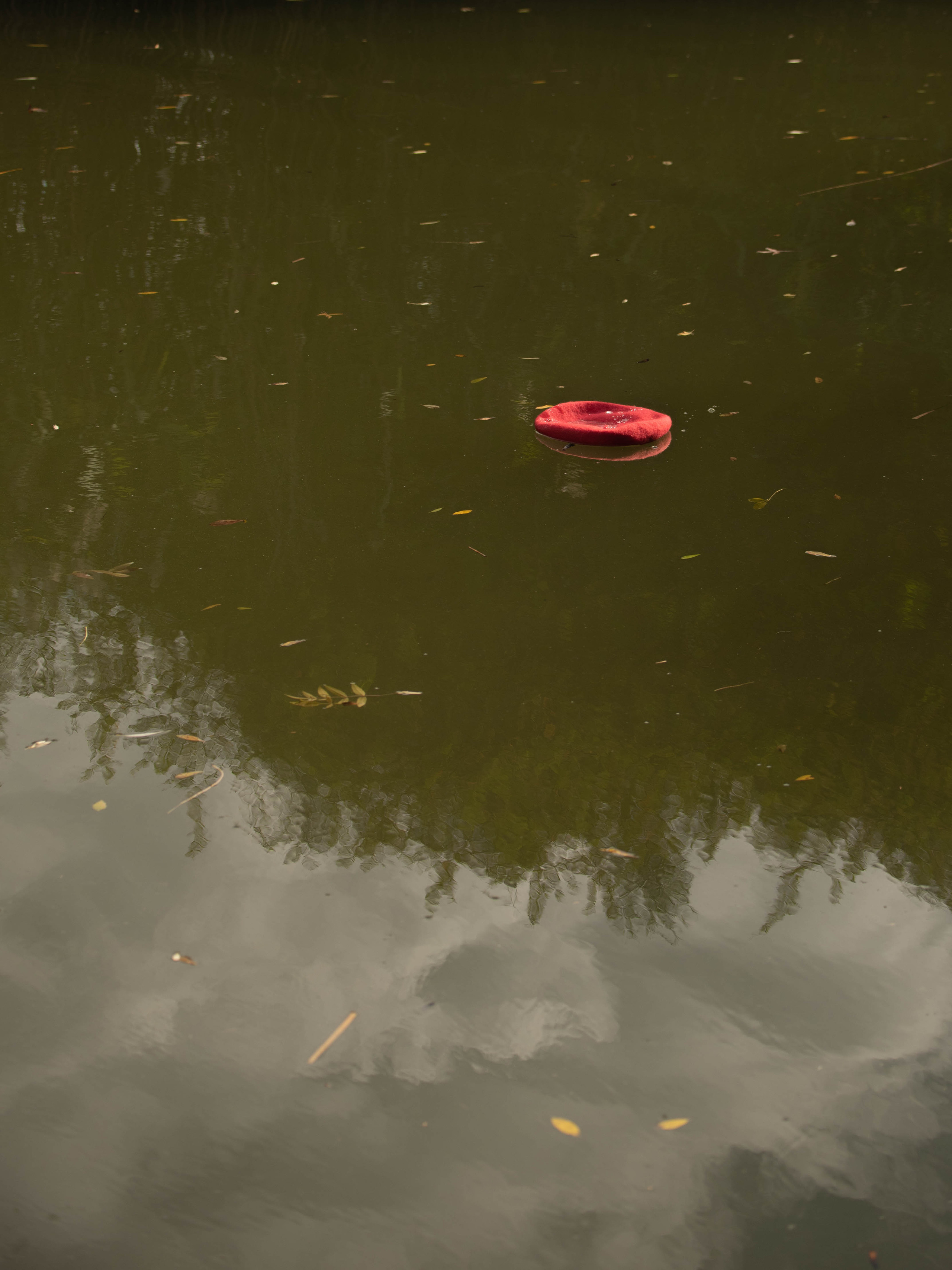 Звучание осени. Творческий фотограф в Севастополе — Антонина Марченко