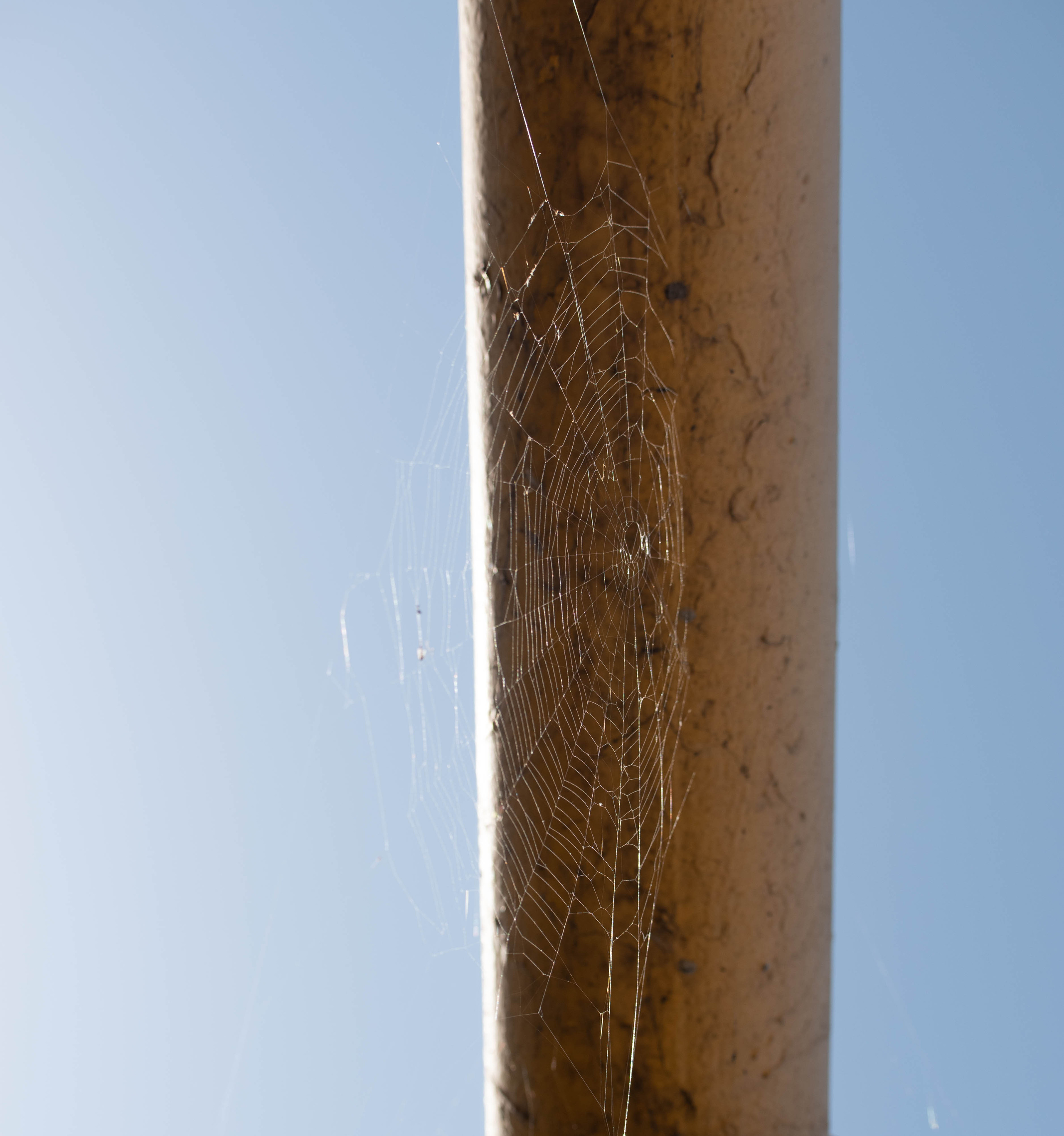 SwimRun. Творческий фотограф в Севастополе — Антонина Марченко