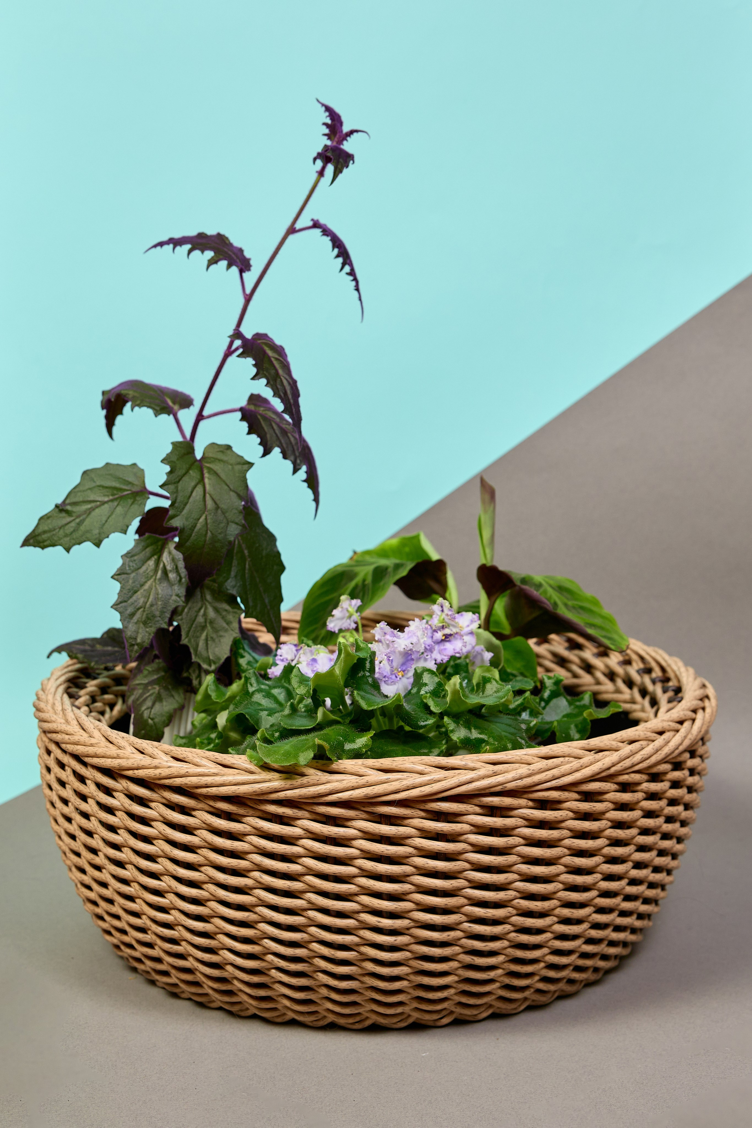 Фотосъёмка для маркетплейсов. Предметный и репортажный фотограф Алексей Кротов