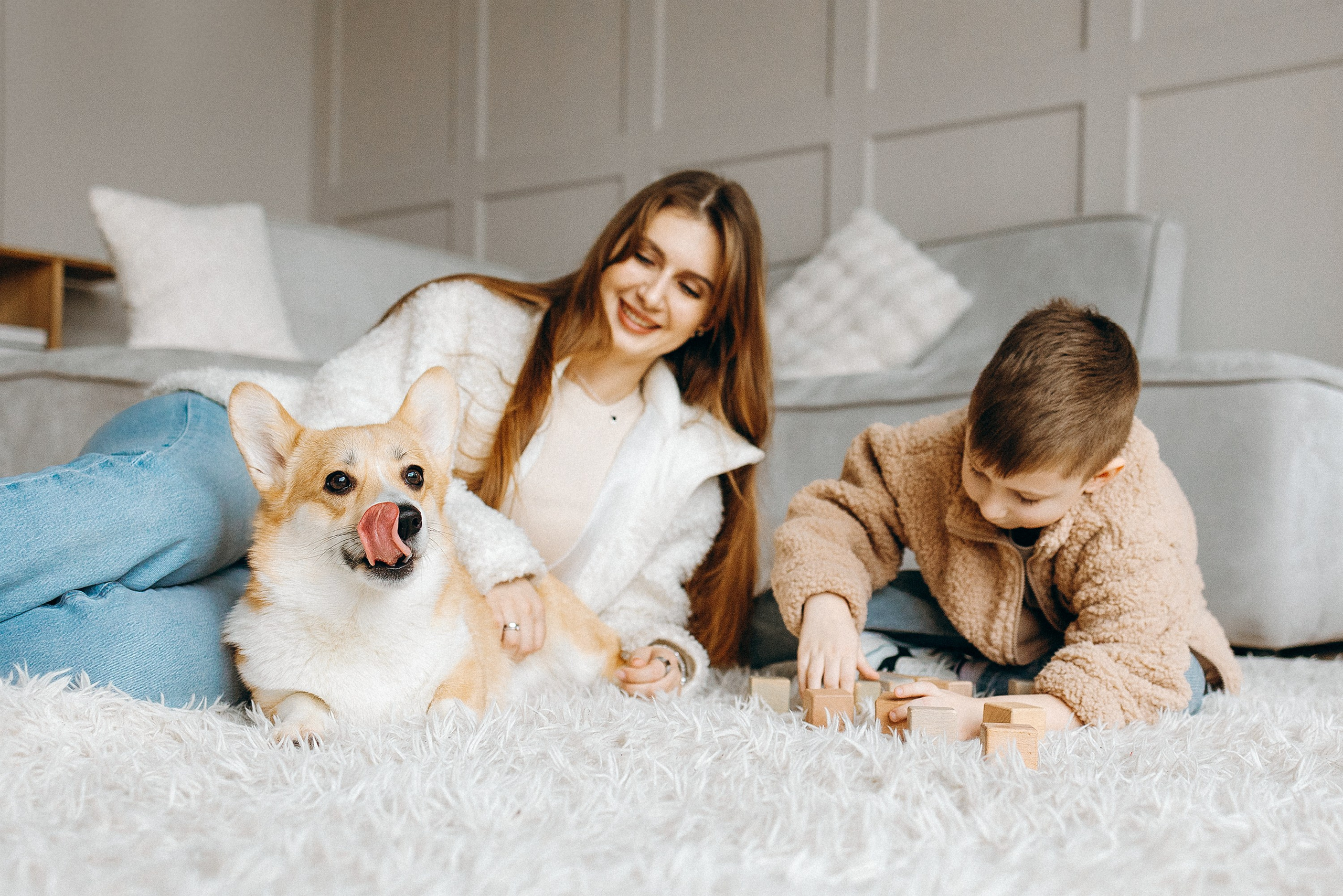 Семья с корги. Фотограф. Фотограф-анималист. Москва
