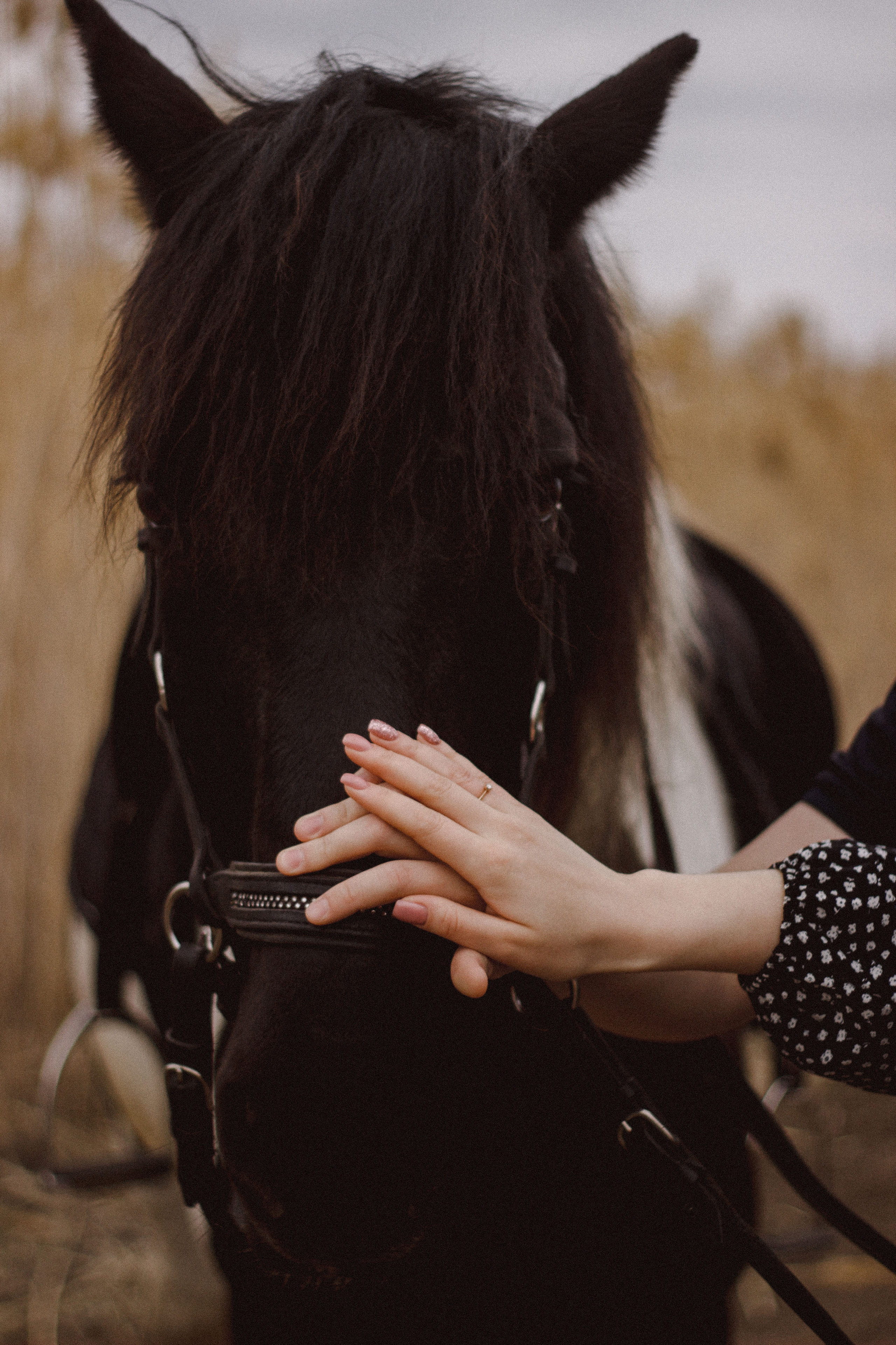 Руфина + Тимур. Свадебный и индивидуальный фотограф в Волгограде Епихина Надежда