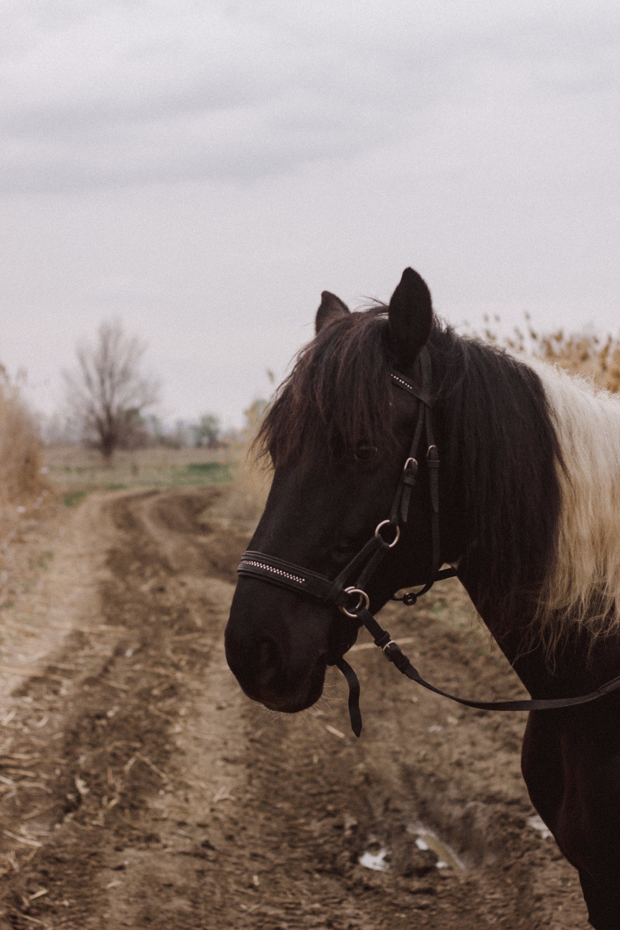 Руфина + Тимур. Свадебный и индивидуальный фотограф в Волгограде Епихина Надежда