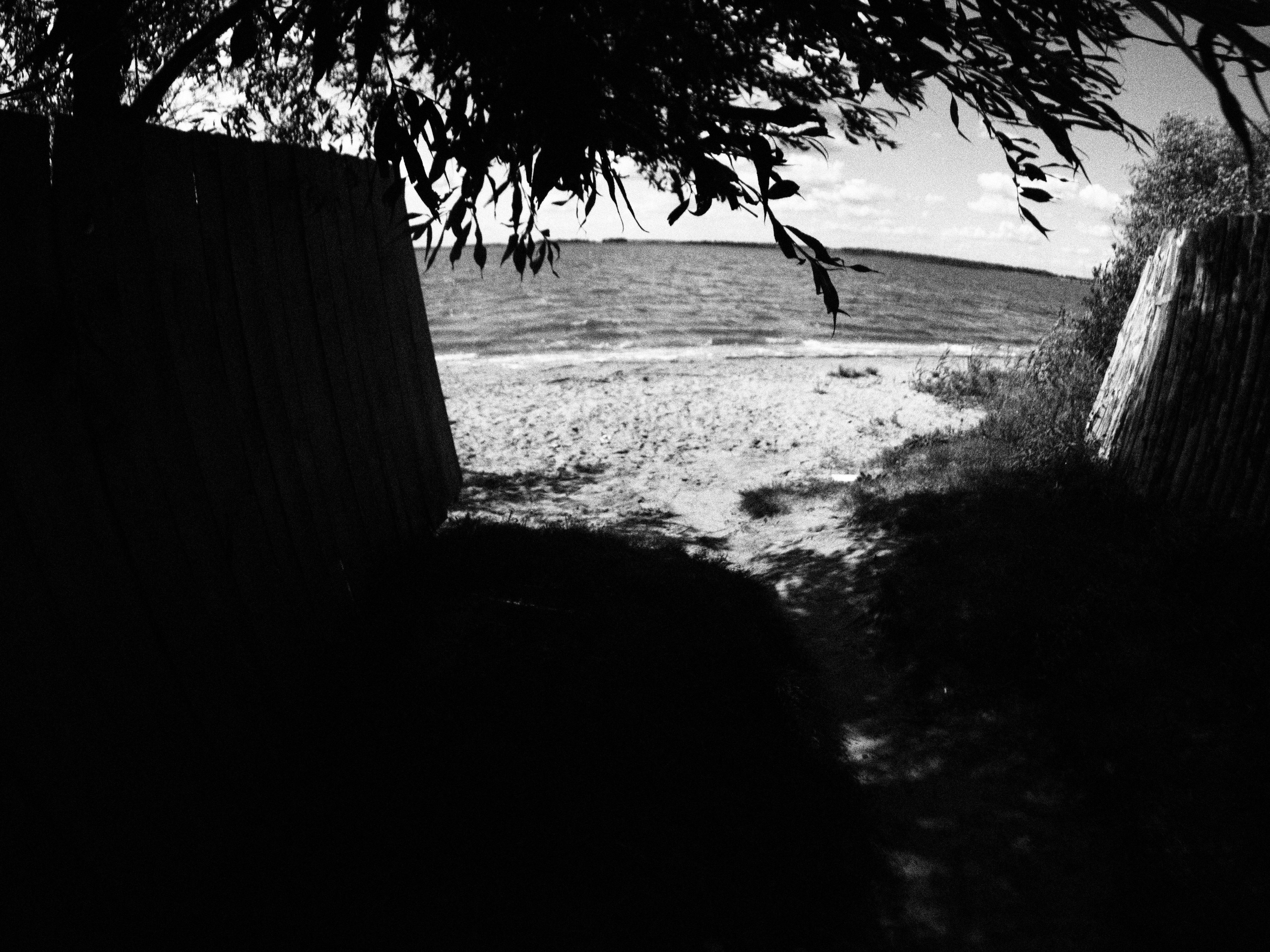 Промежуточные моменты (2023)