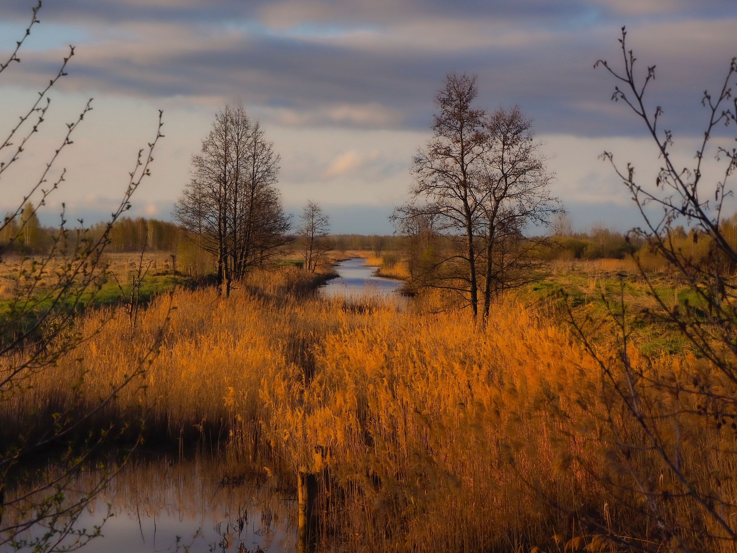 Окрестности Ростова Великого. Московский фотограф Дмитрий Потапов