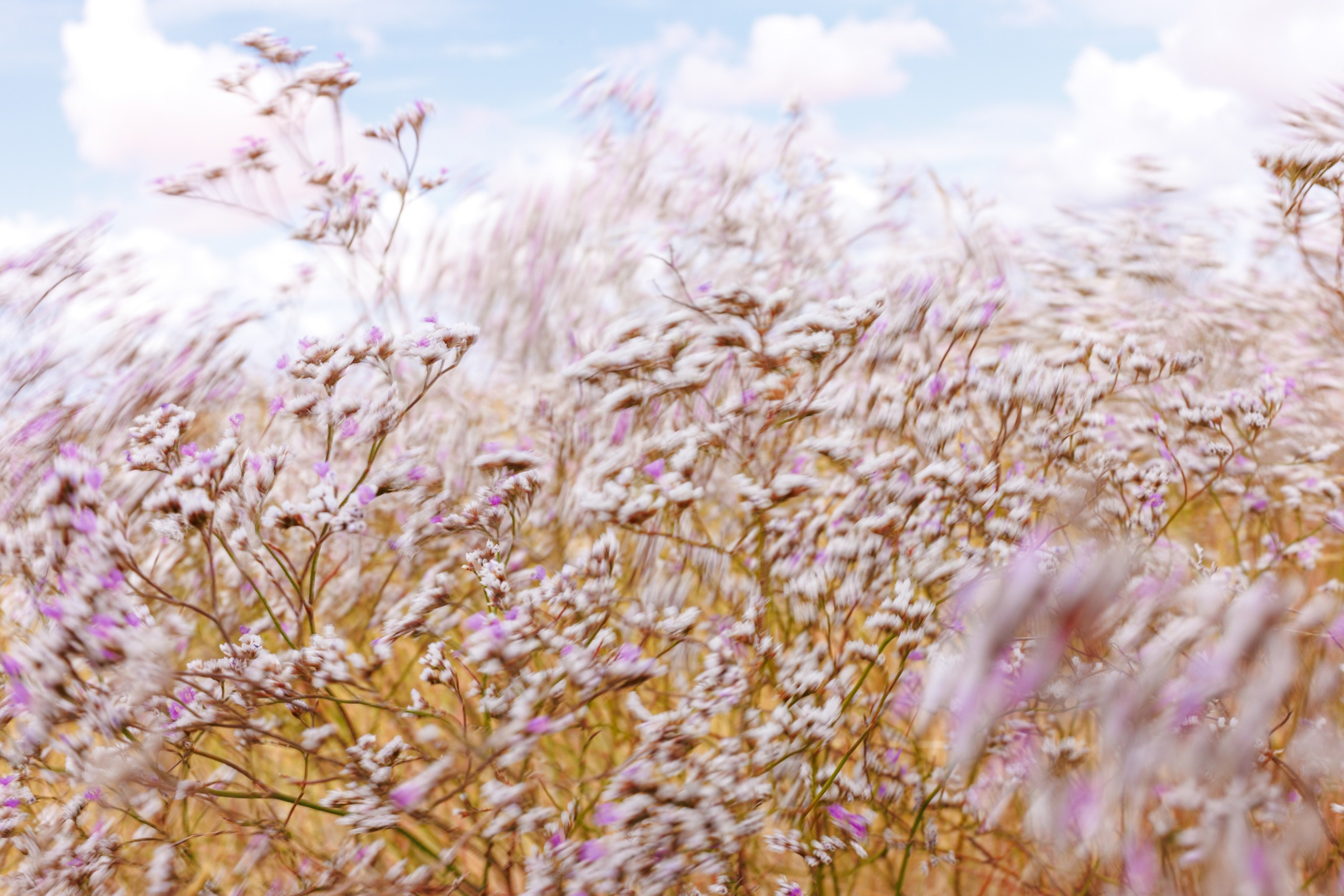 Фотограф в Москве Повеквечных Софья