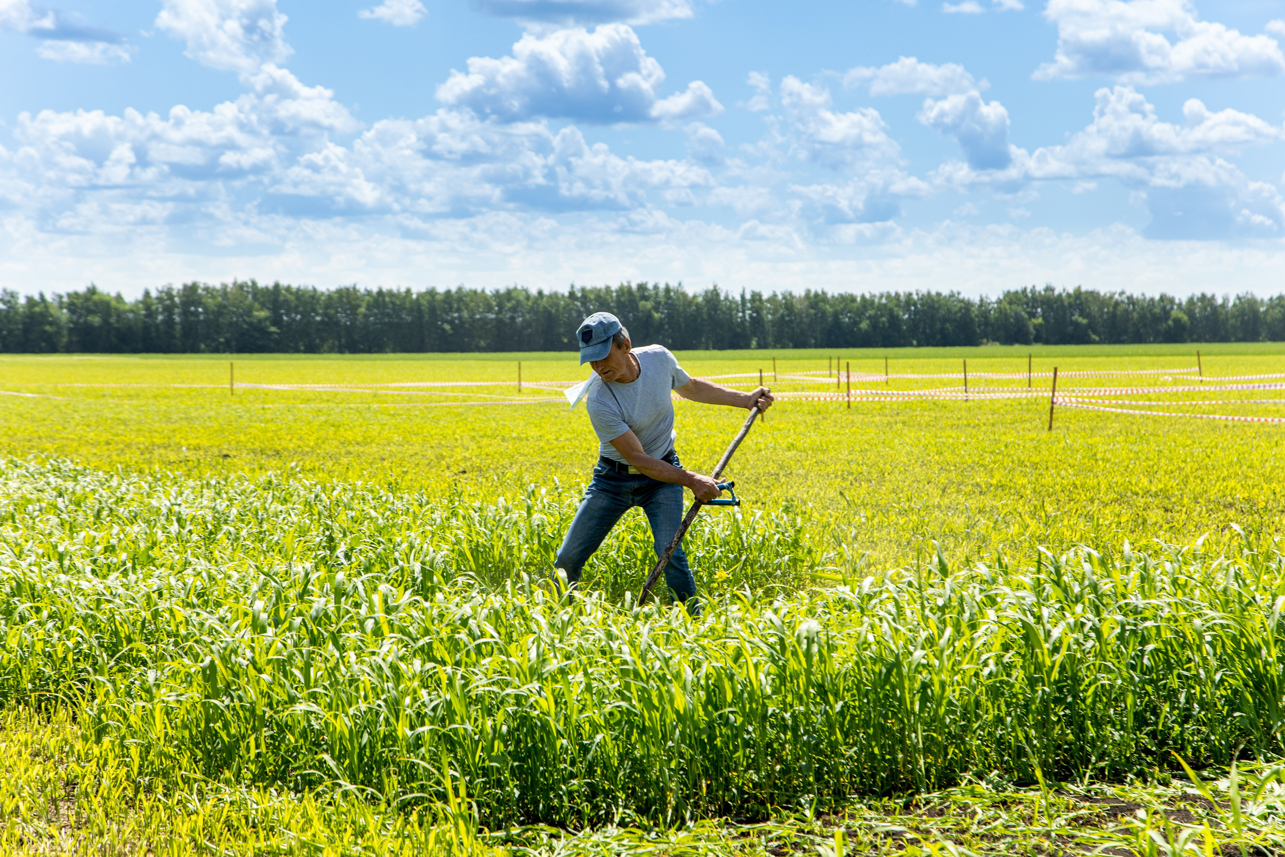 День Поля 2022. Владислав Волков | Фотография и видеосъемка в Воронеже