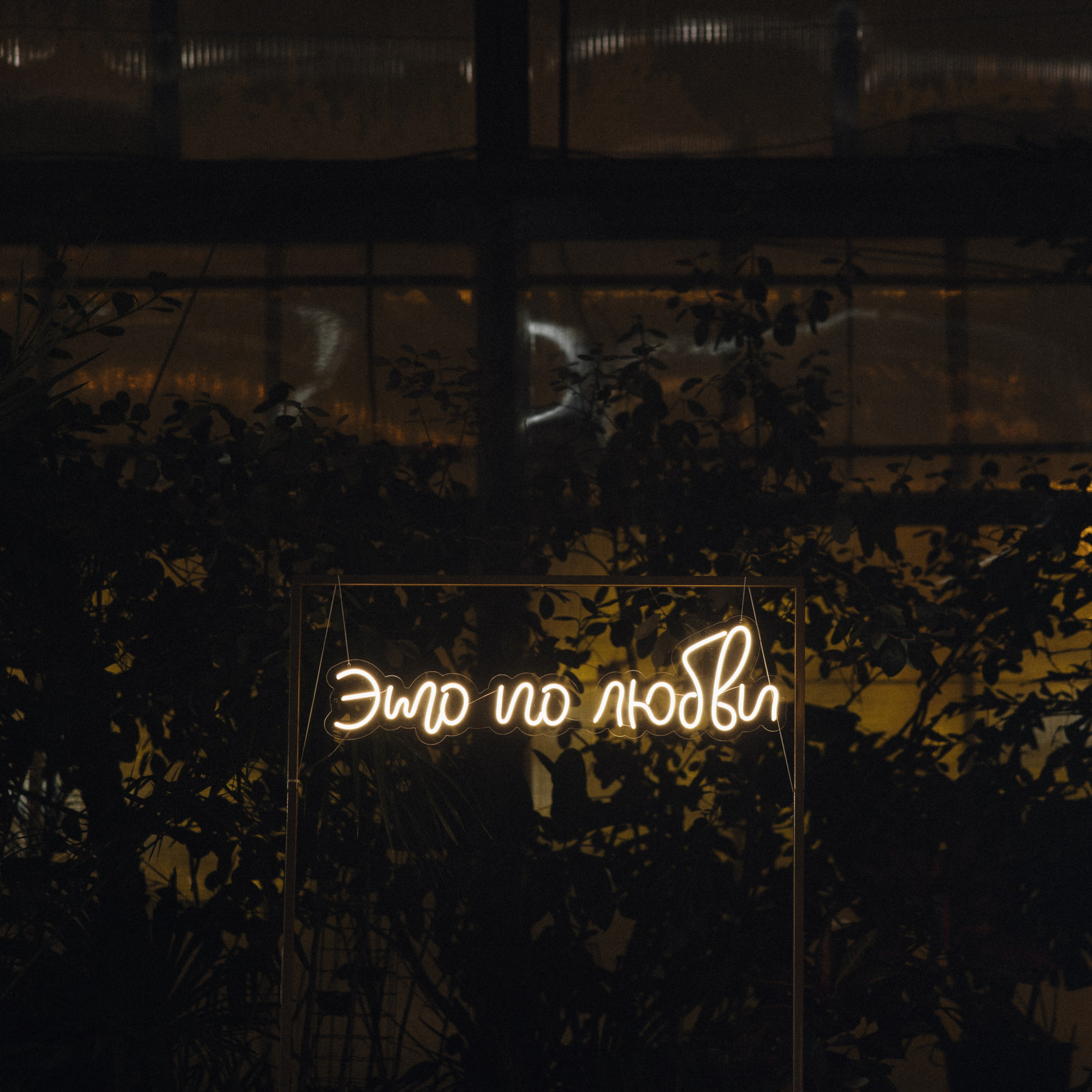 Зимой в лето. Фотограф Санкт-Петербург