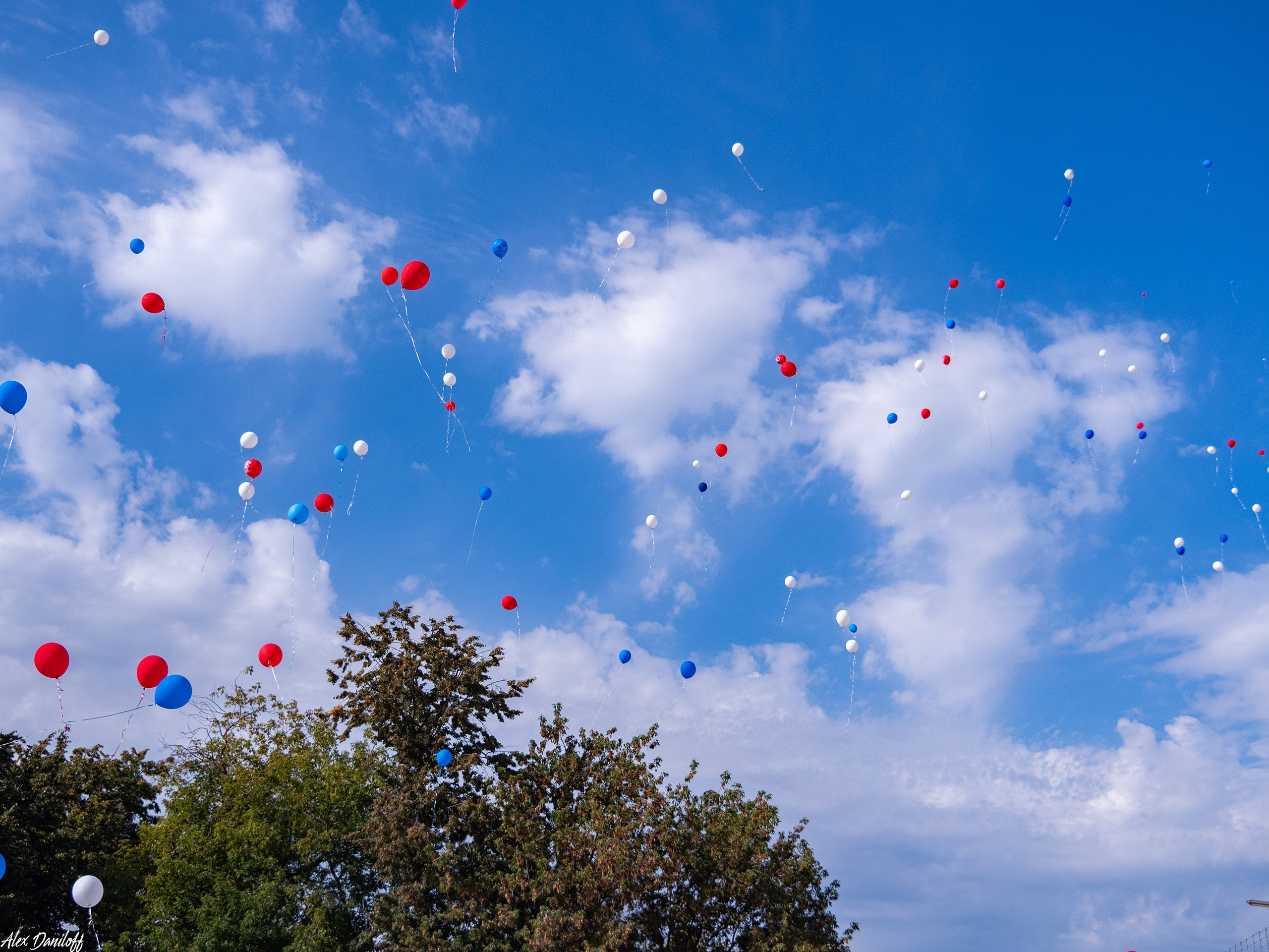 Первоклассный день 25. Муром-Инфо. Новости культуры, образования, спорта в городе Муром