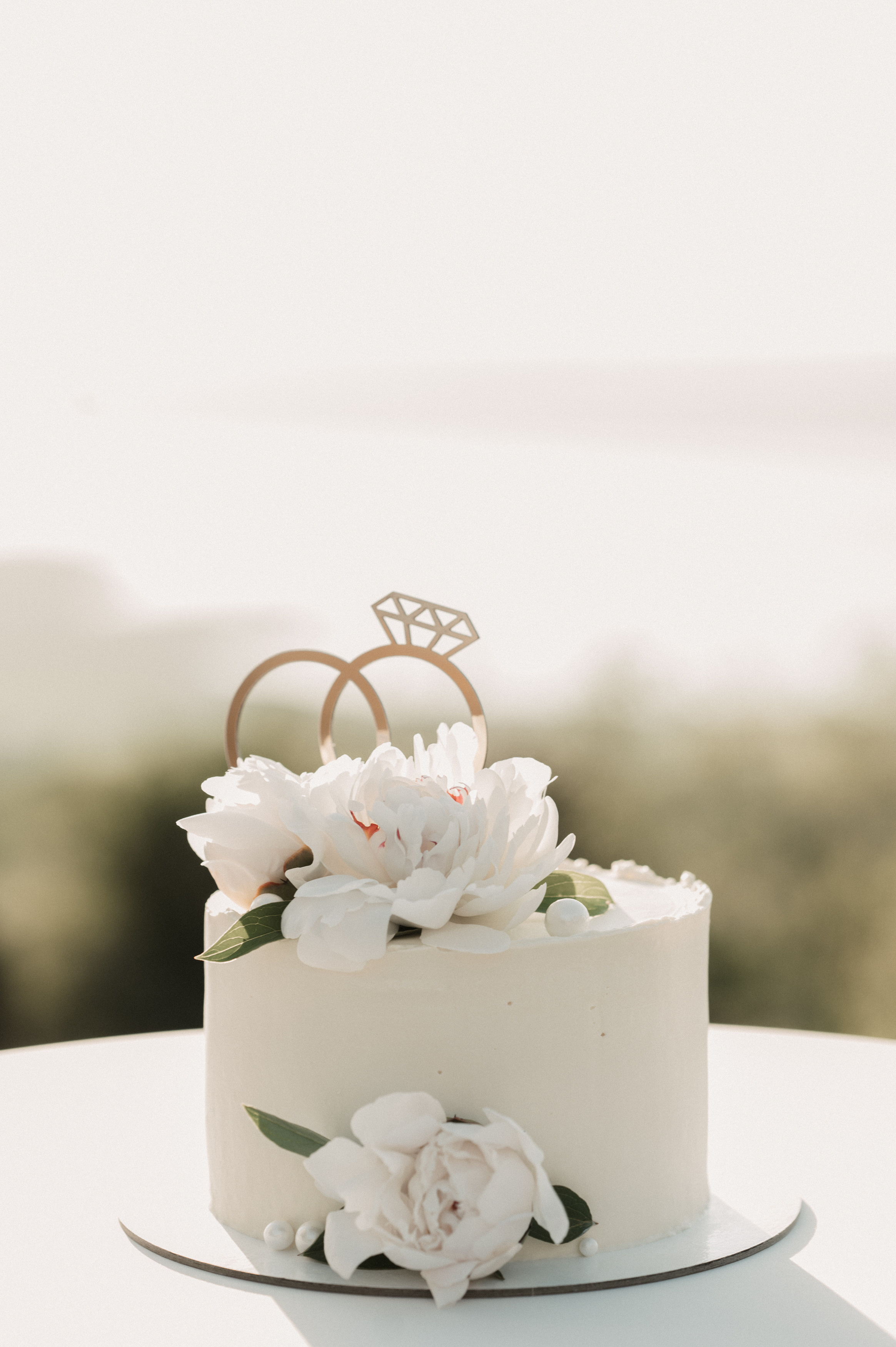 Полина и Роман. Свадебный фотограф Александр Давыдов