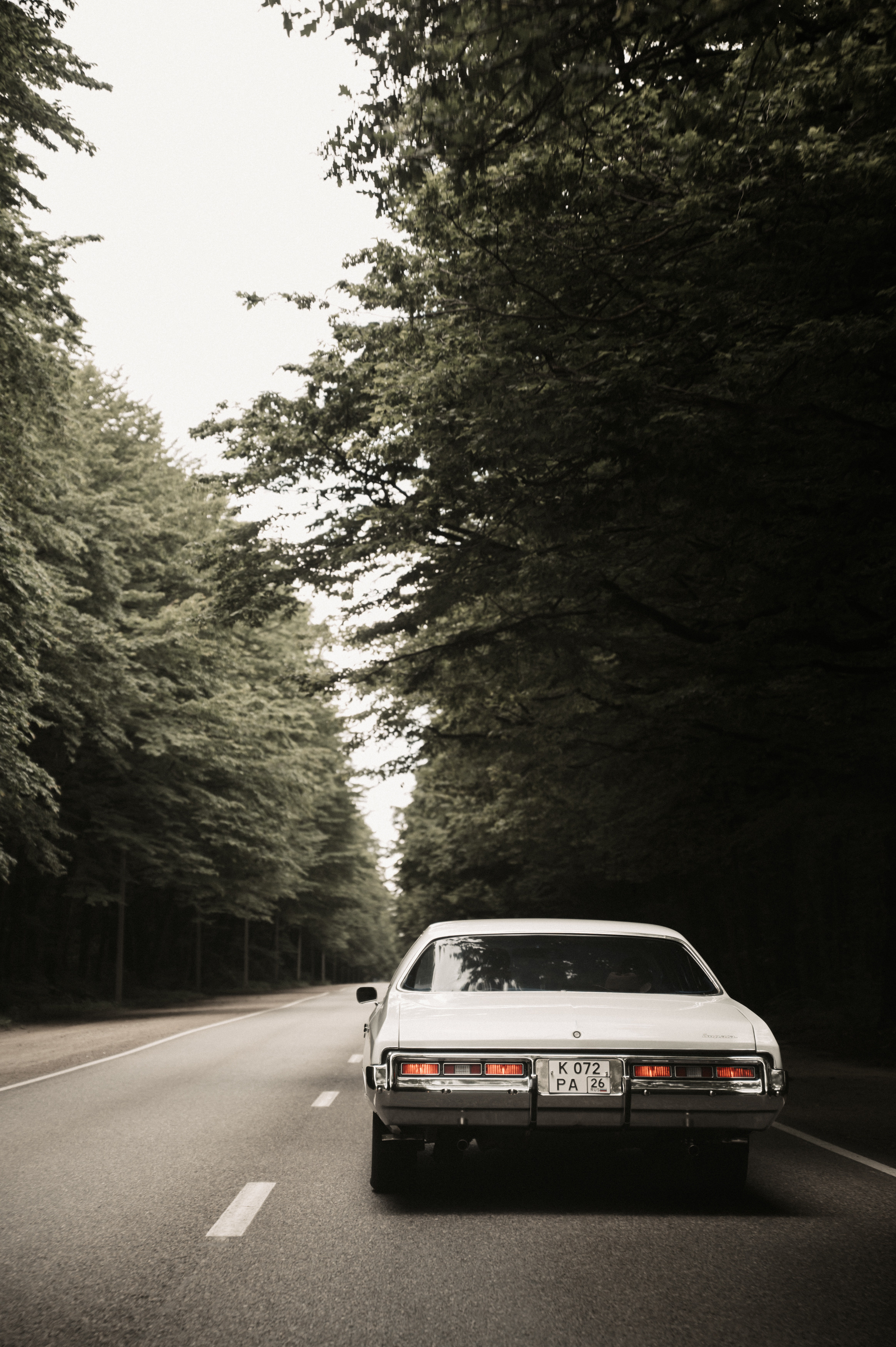 Жить в кайф. Свадебный фотограф Александр Давыдов