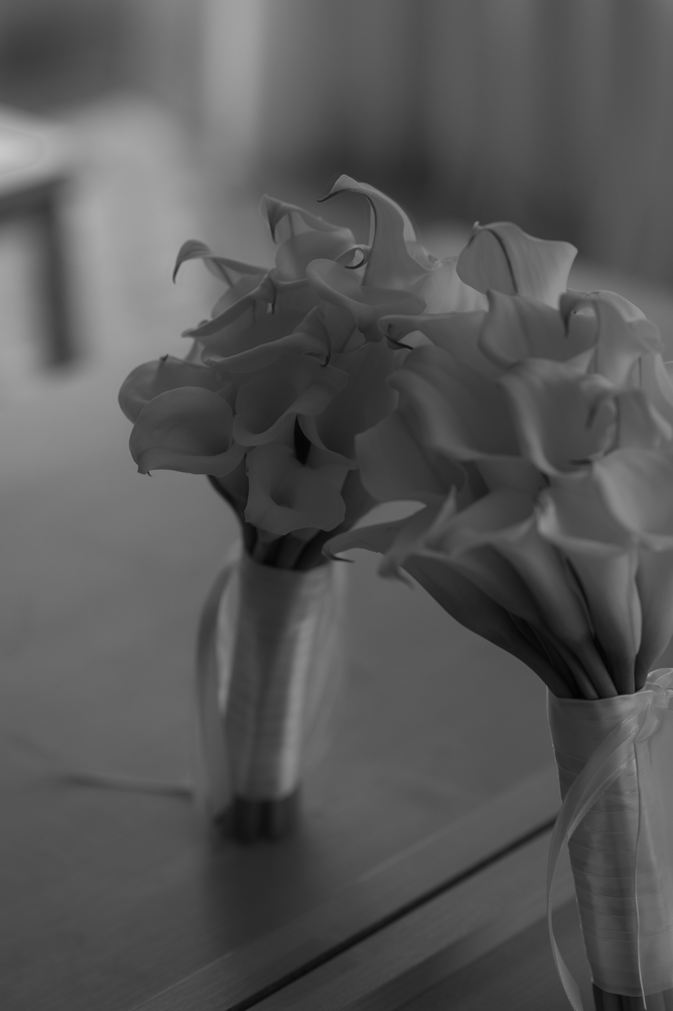 Софья и Илья. Свадебный фотограф Александр Давыдов