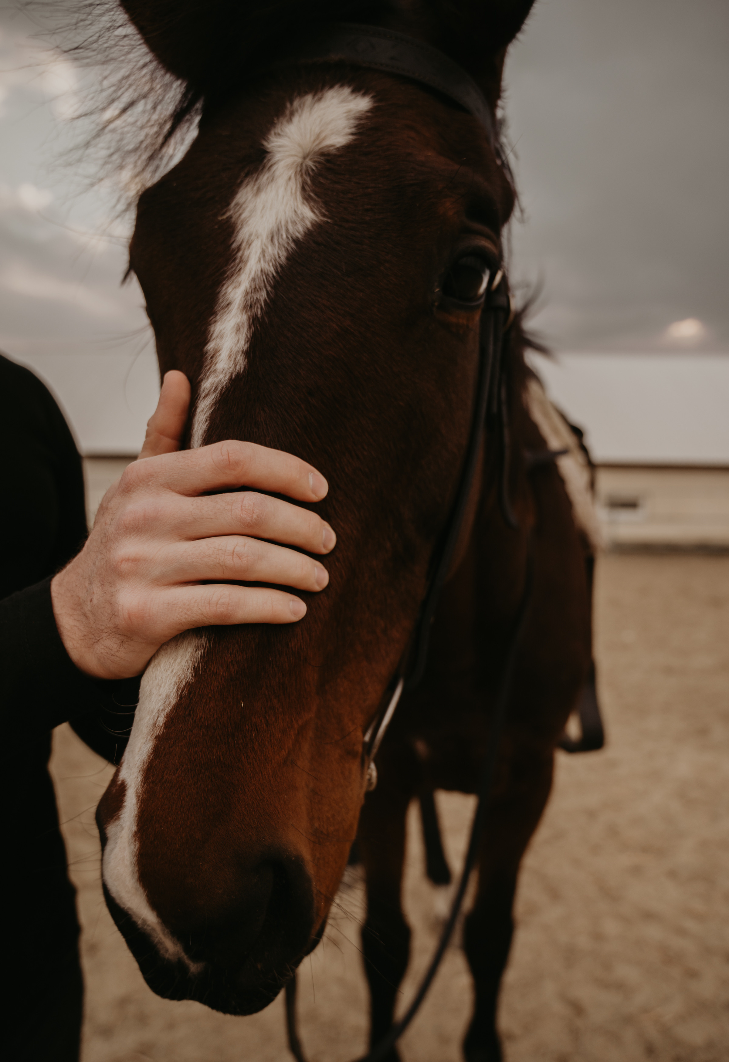 …. Свадебный фотограф Александр Давыдов