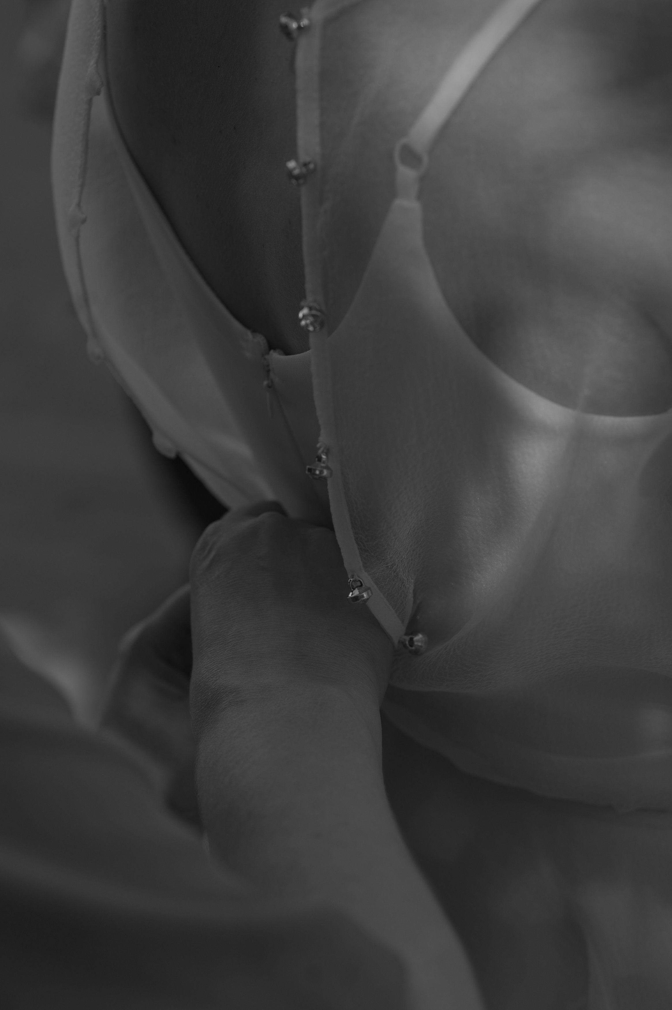 Полина и Роман. Свадебный фотограф Александр Давыдов