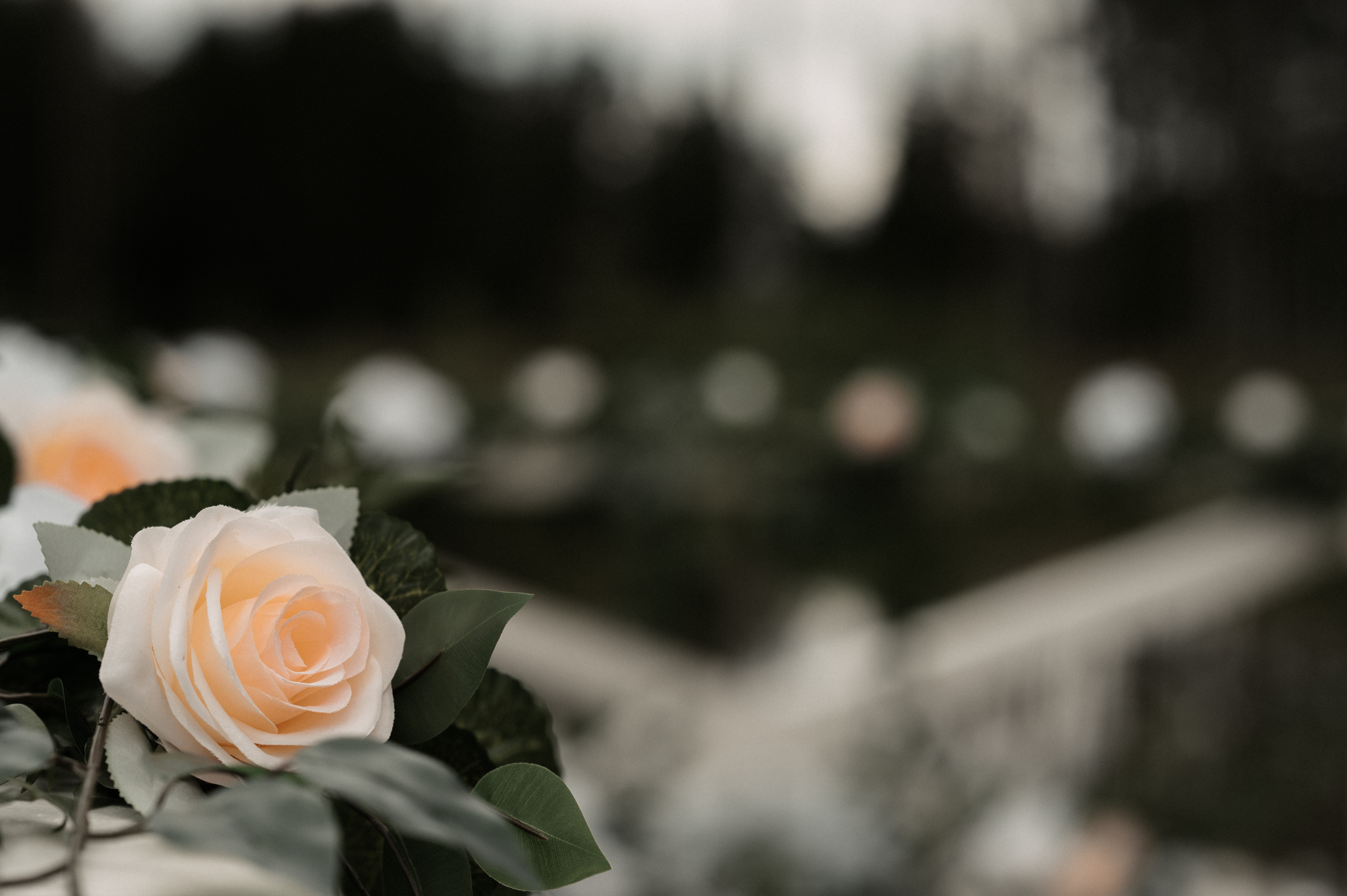 Счастье у озера. Свадебный фотограф Александр Давыдов