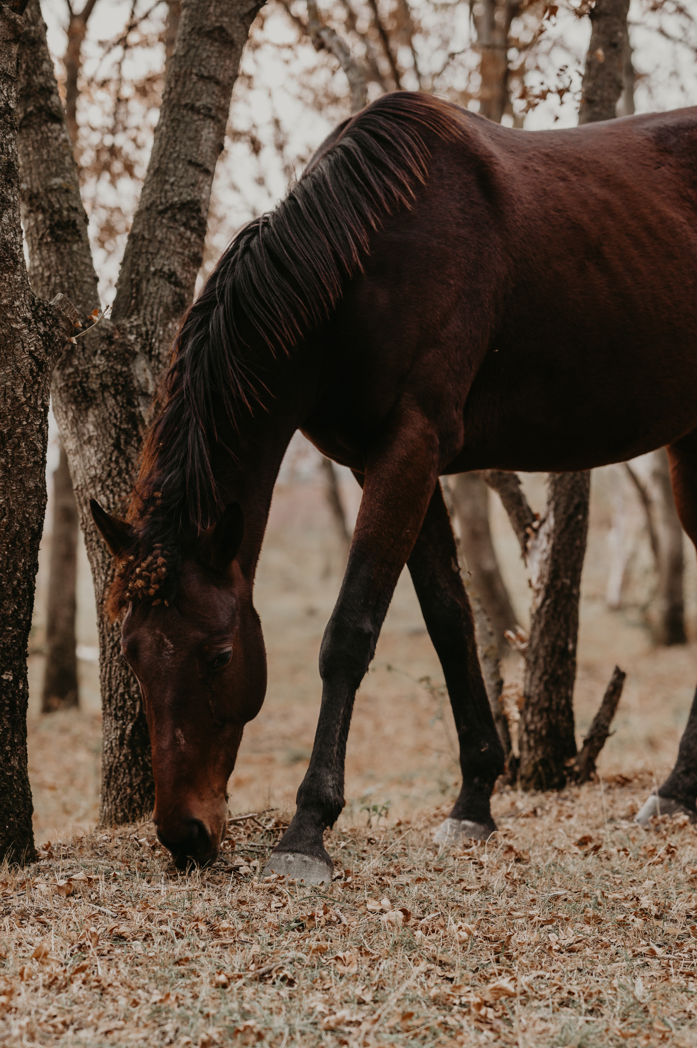 …. Свадебный фотограф Александр Давыдов