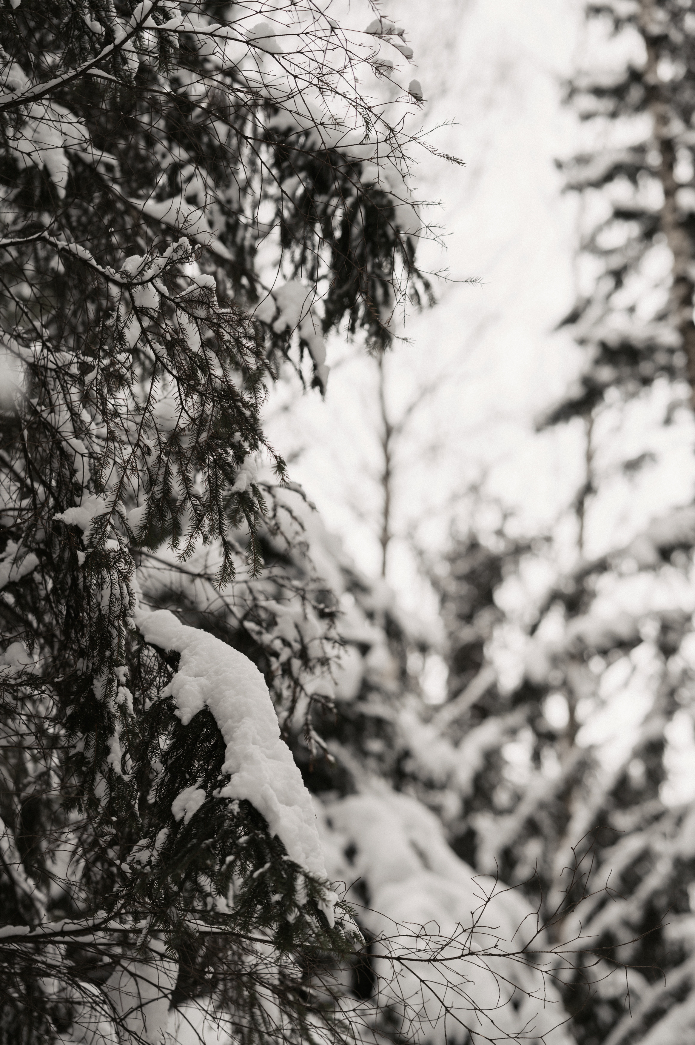 …. Свадебный фотограф Александр Давыдов