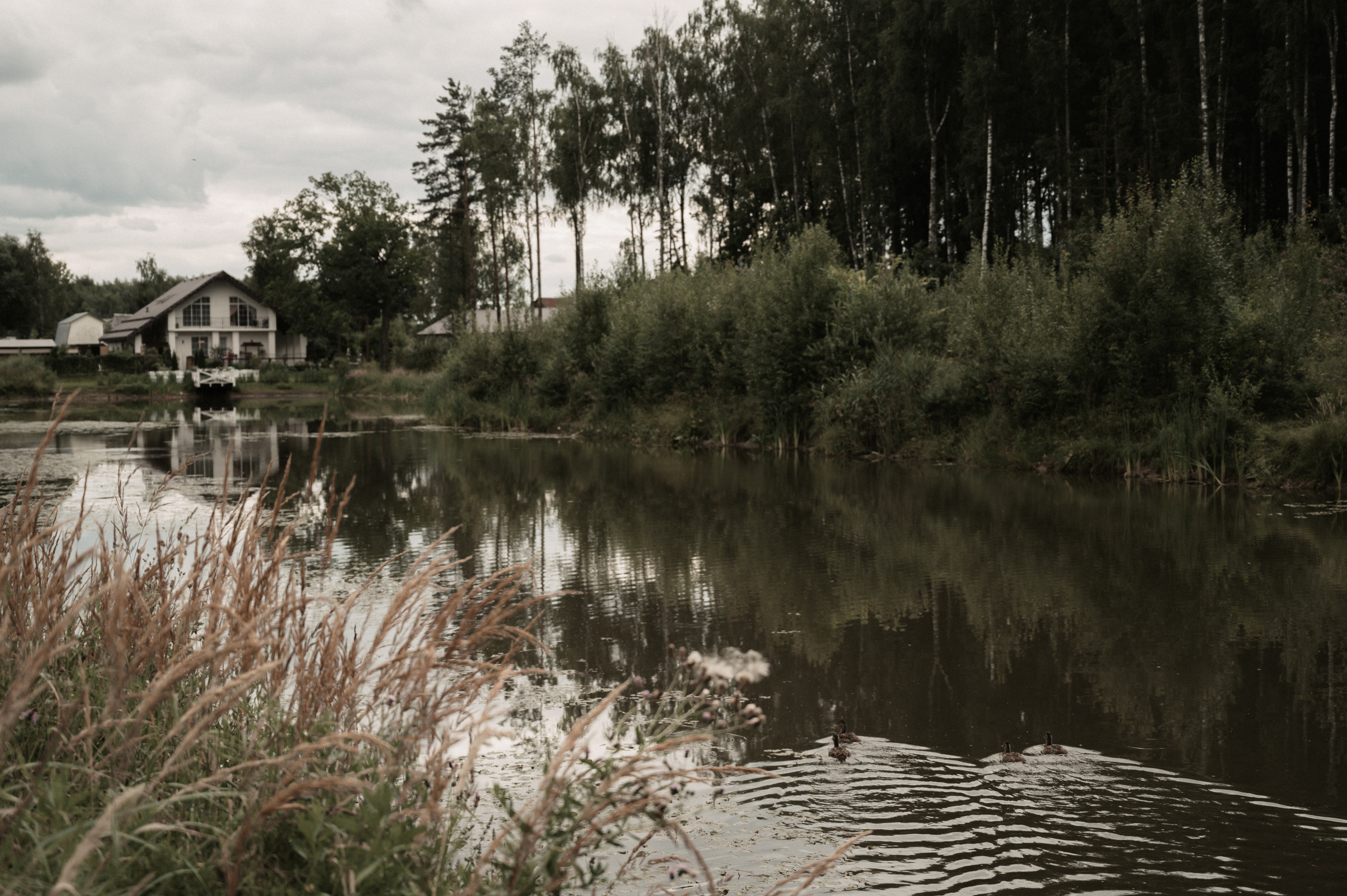 Счастье у озера. Свадебный фотограф Александр Давыдов