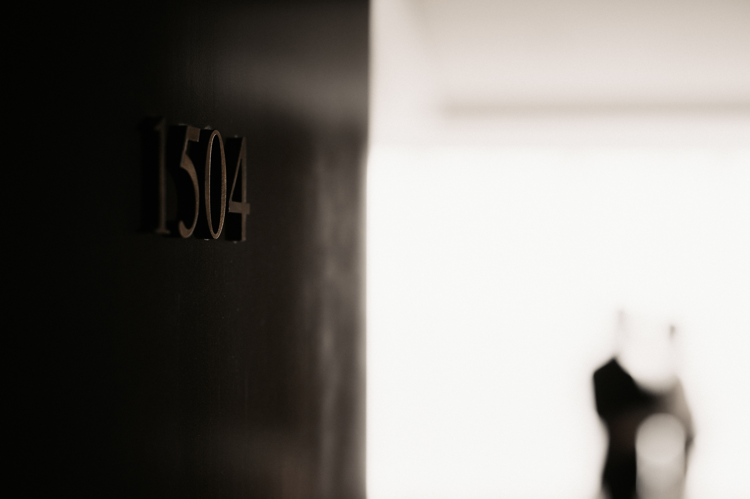 Софья и Илья. Свадебный фотограф Александр Давыдов