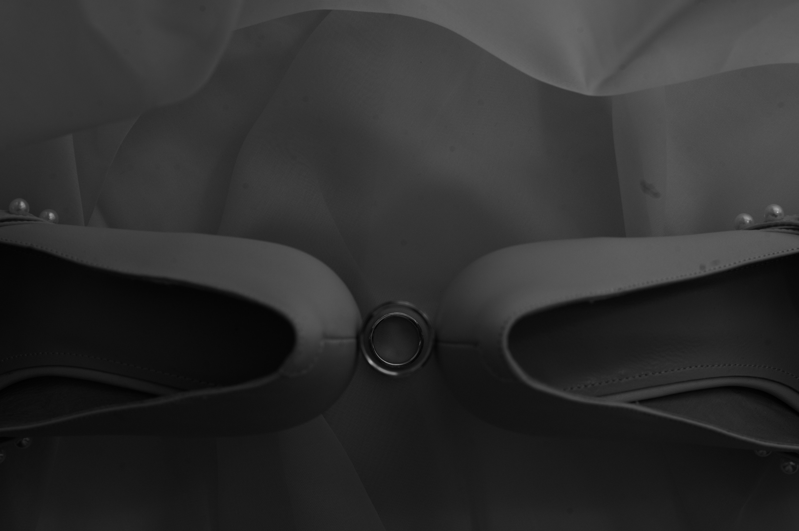 Софья и Илья. Свадебный фотограф Александр Давыдов