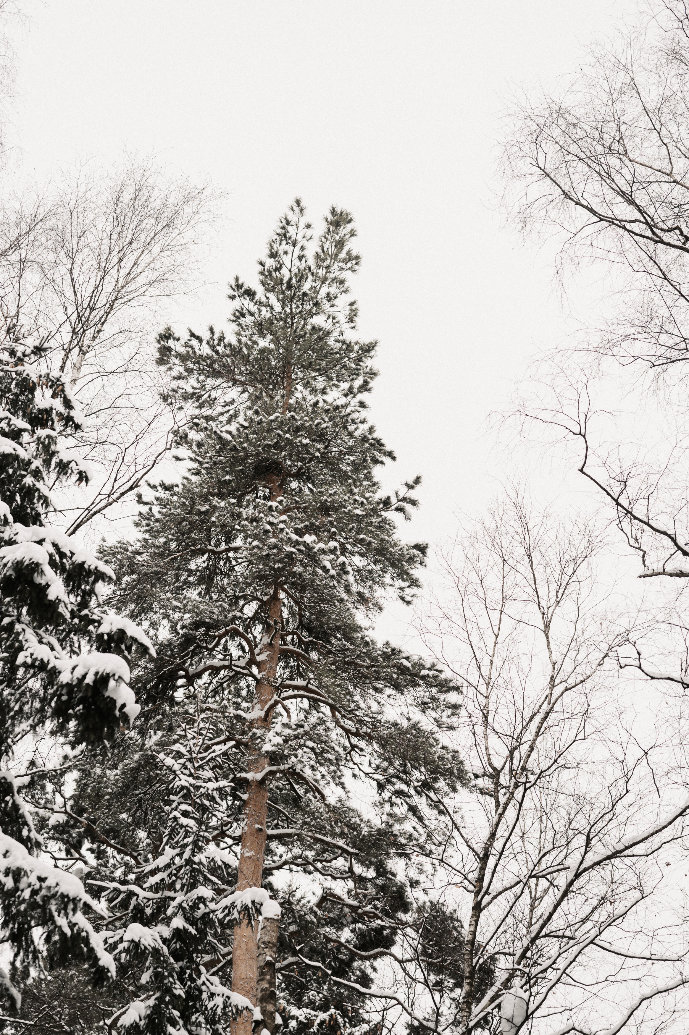 …. Свадебный фотограф Александр Давыдов