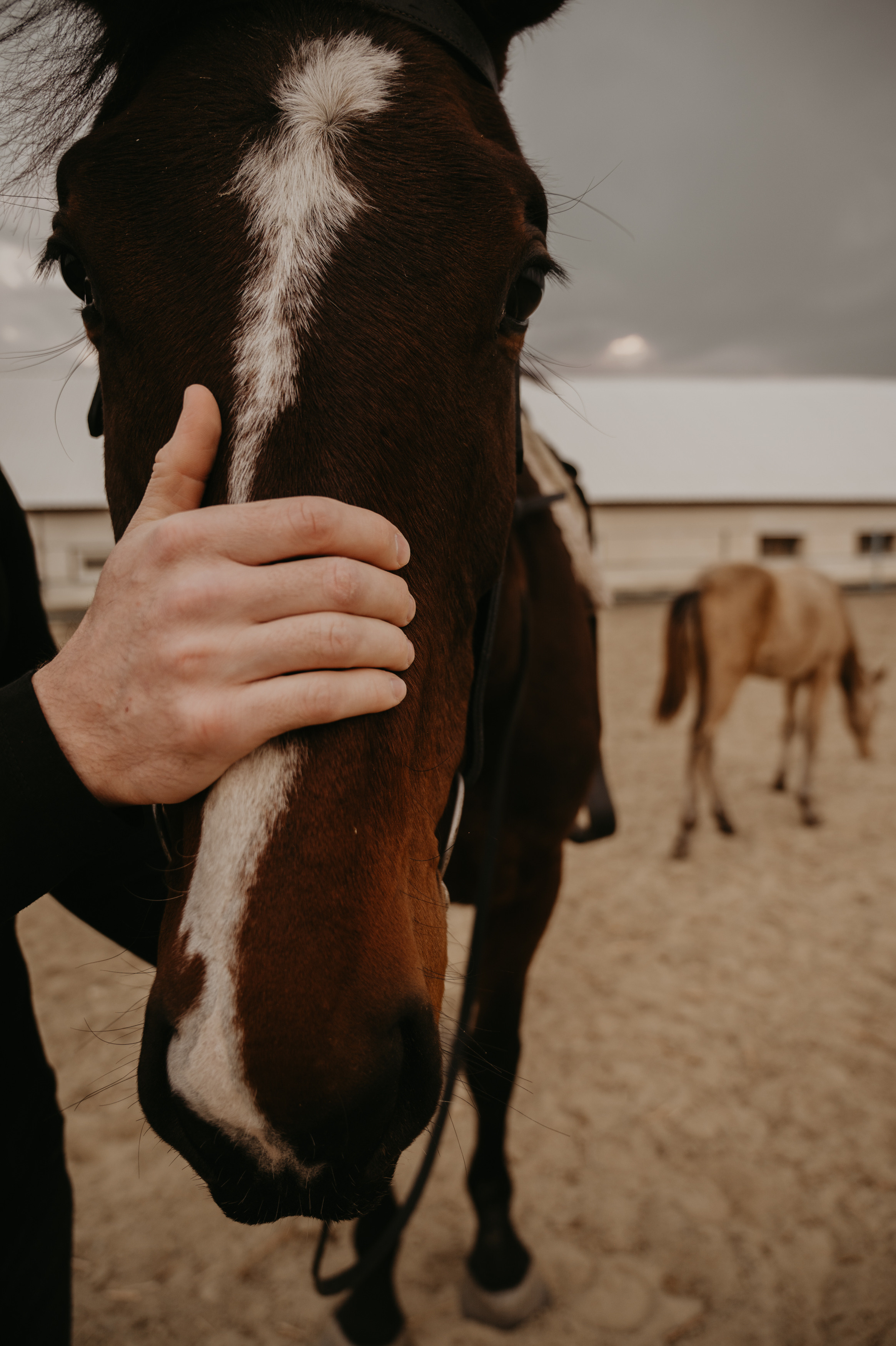 …. Свадебный фотограф Александр Давыдов