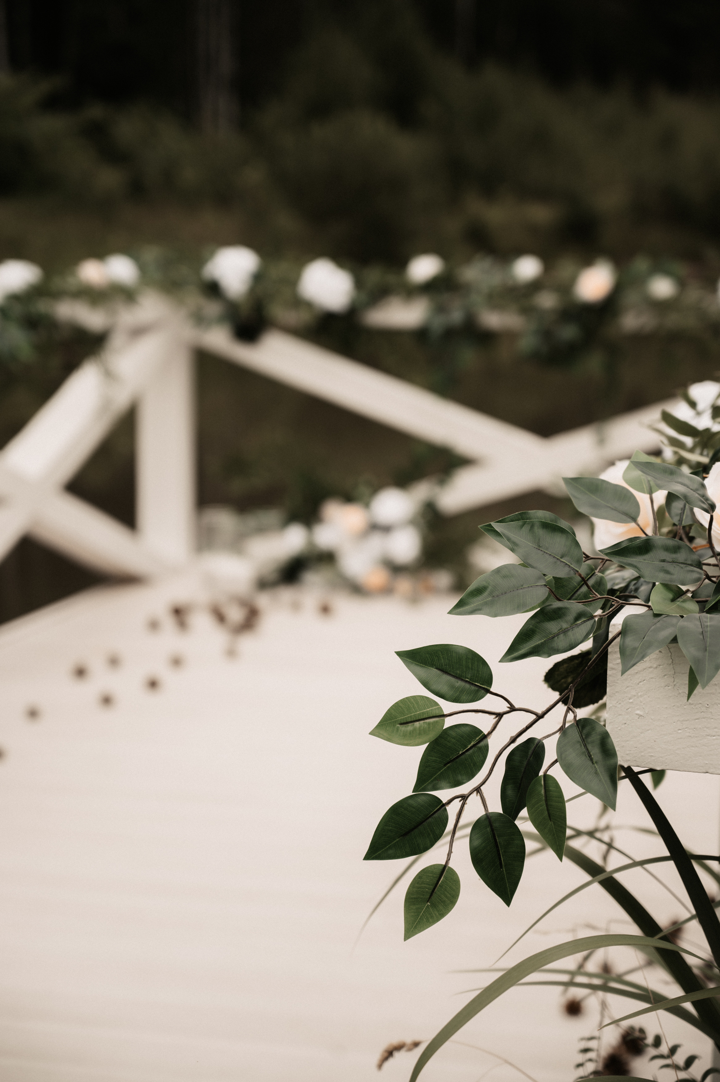 Счастье у озера. Свадебный фотограф Александр Давыдов