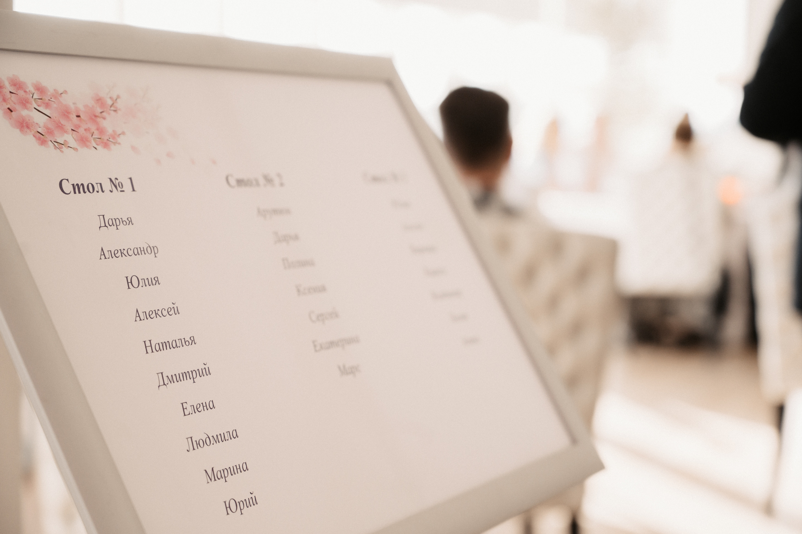 Саша+Даша. Свадебный фотограф Александр Давыдов