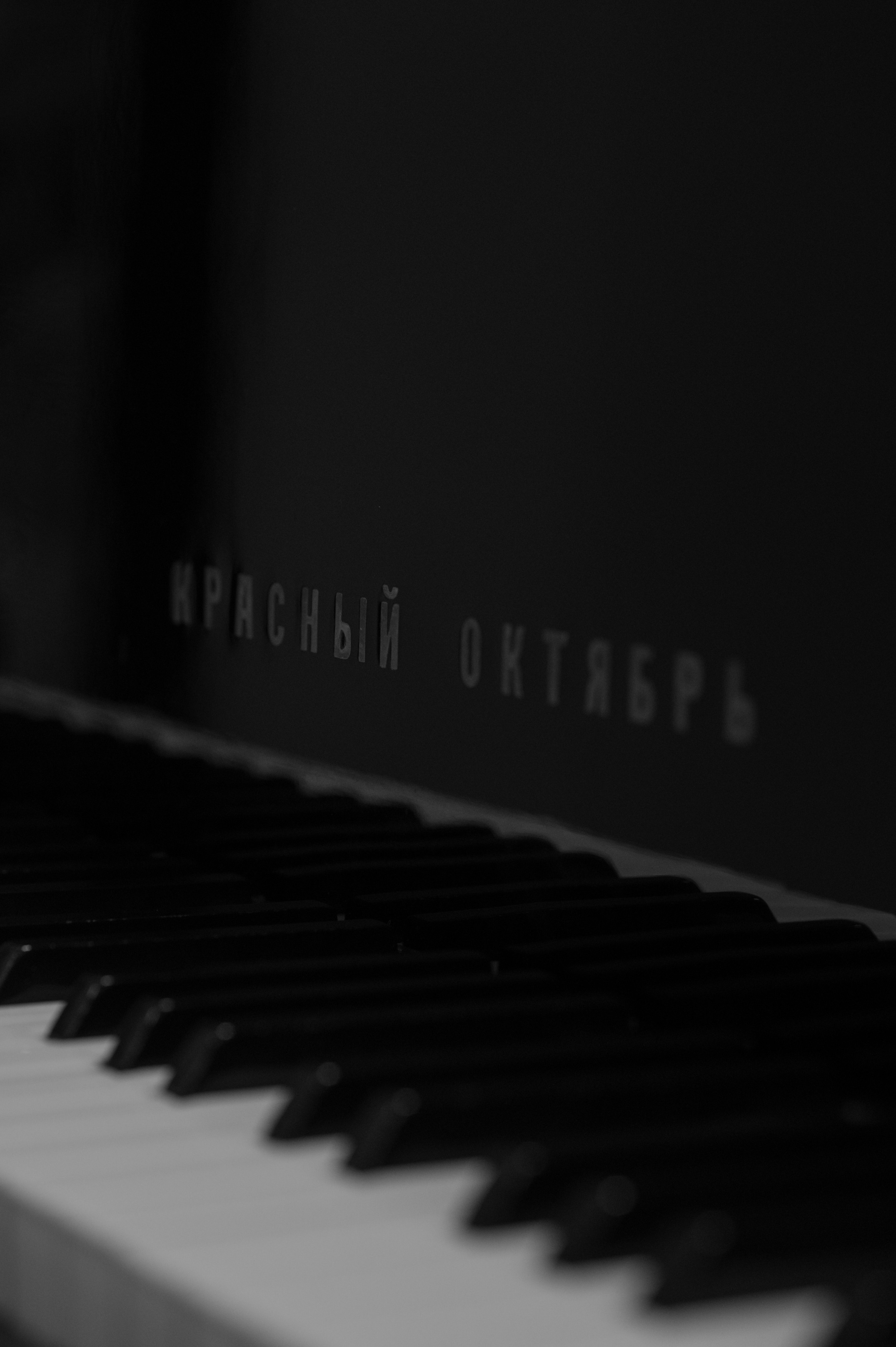 Дима и Яна. Свадебный фотограф Александр Давыдов