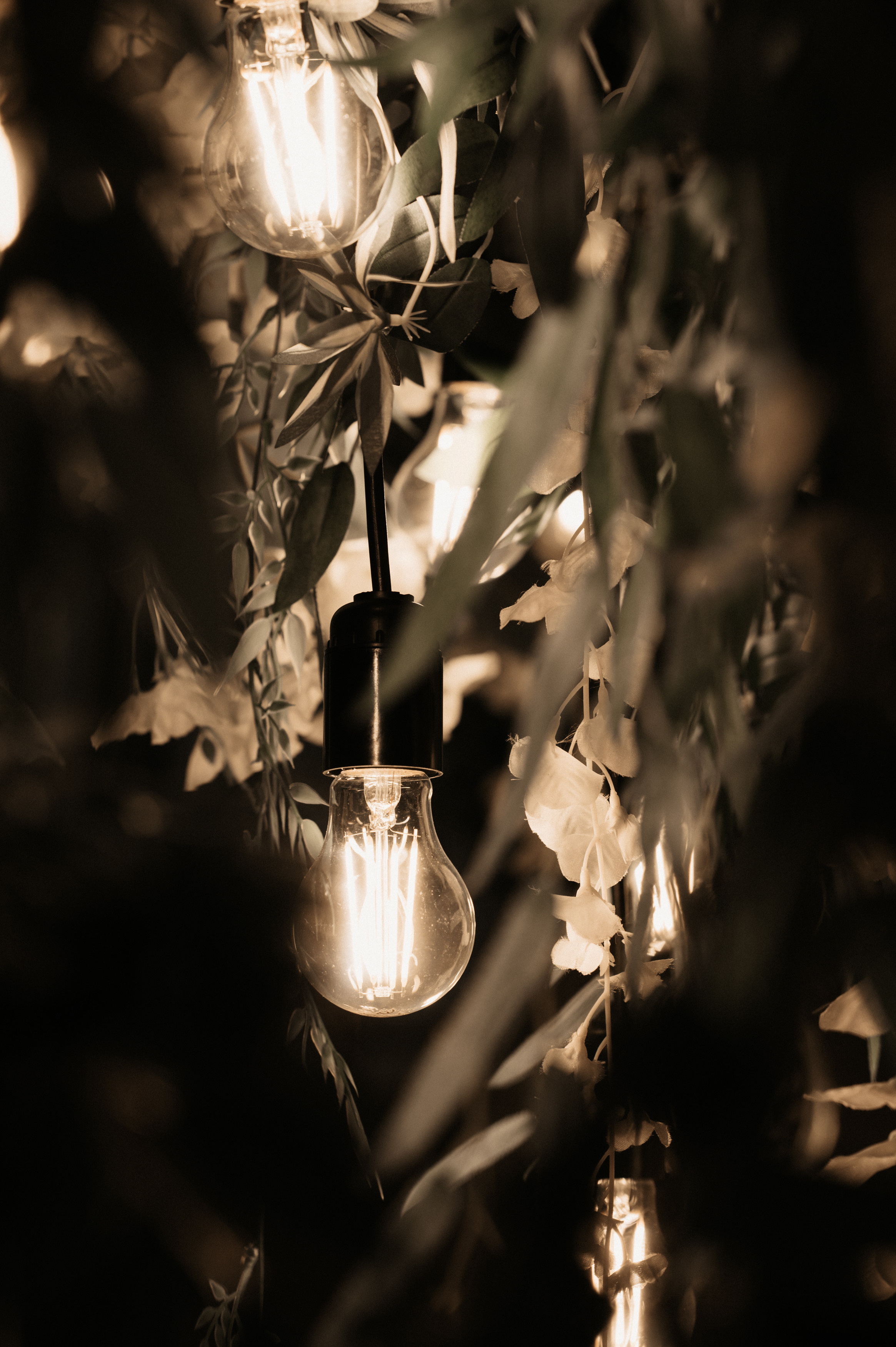 Жить в кайф. Свадебный фотограф Александр Давыдов