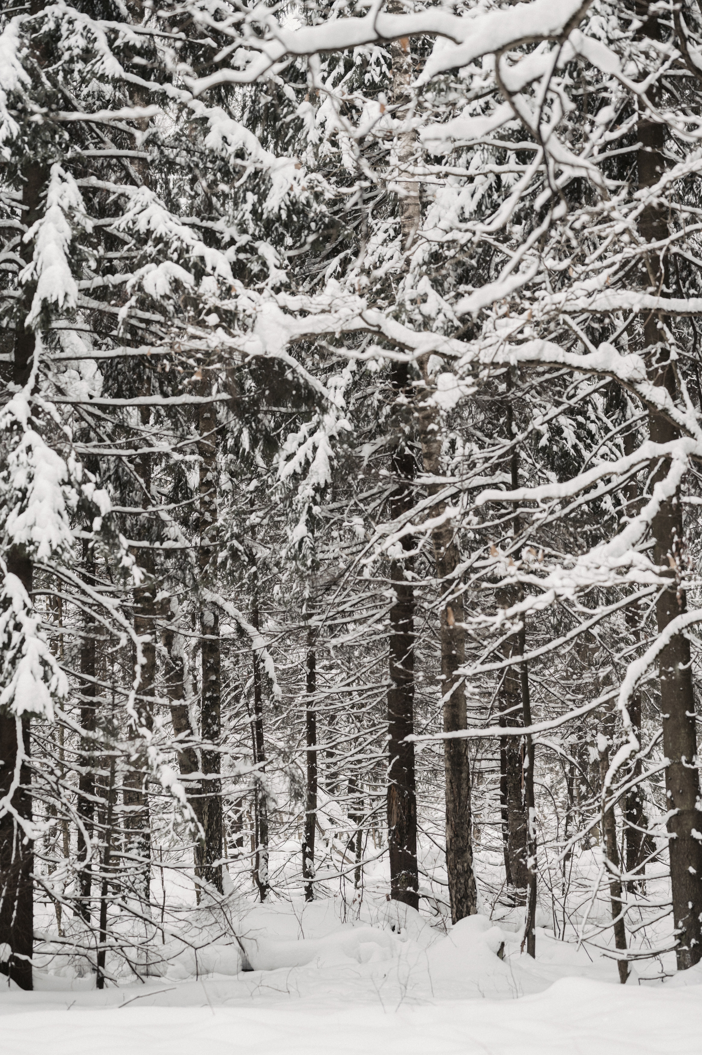 …. Свадебный фотограф Александр Давыдов