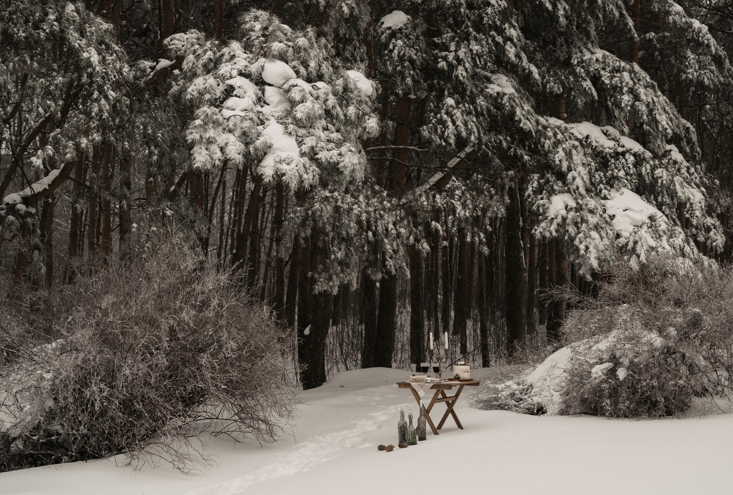 Для двоих. Свадебный фотограф Александр Давыдов