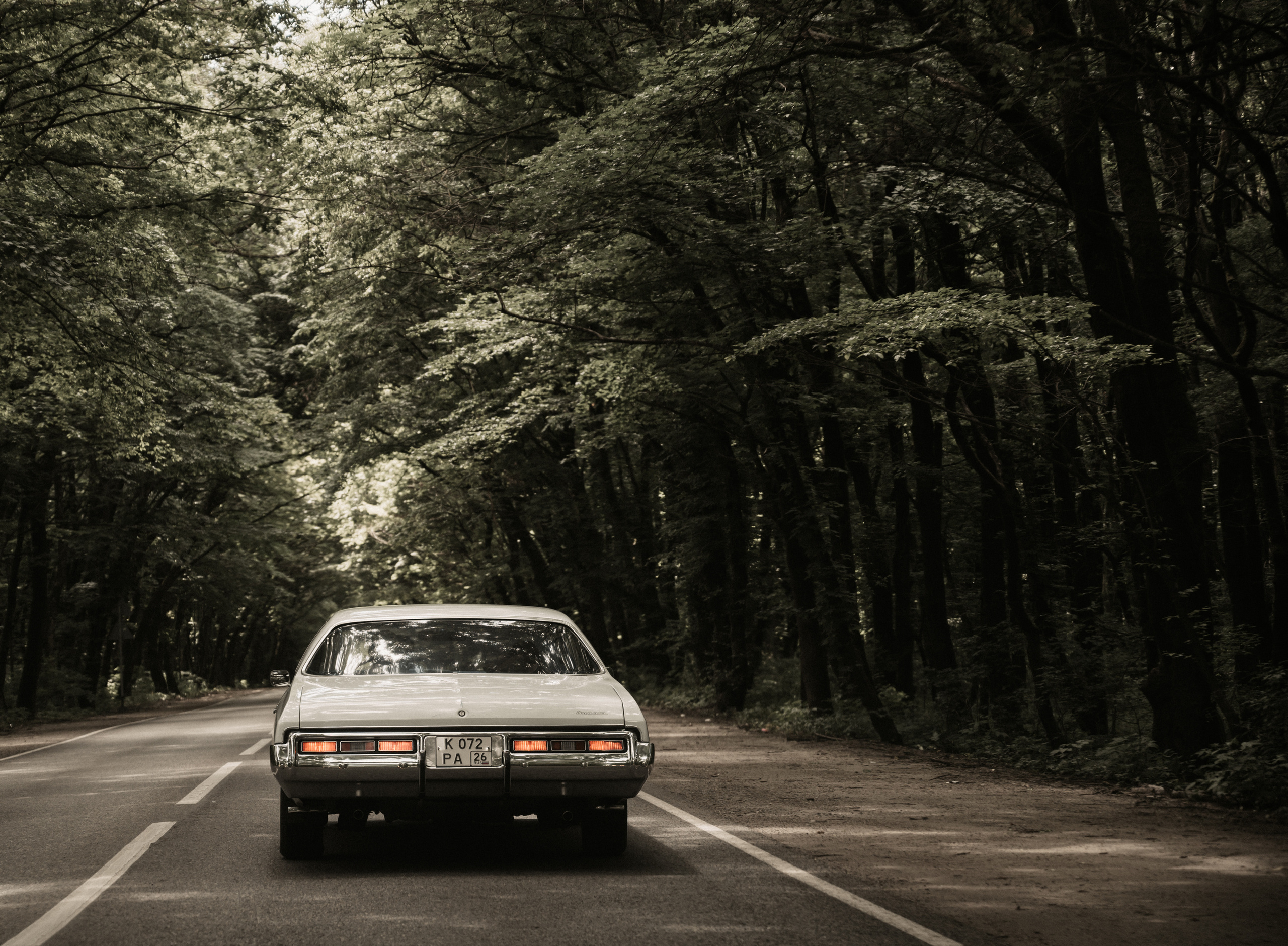 Жить в кайф. Свадебный фотограф Александр Давыдов