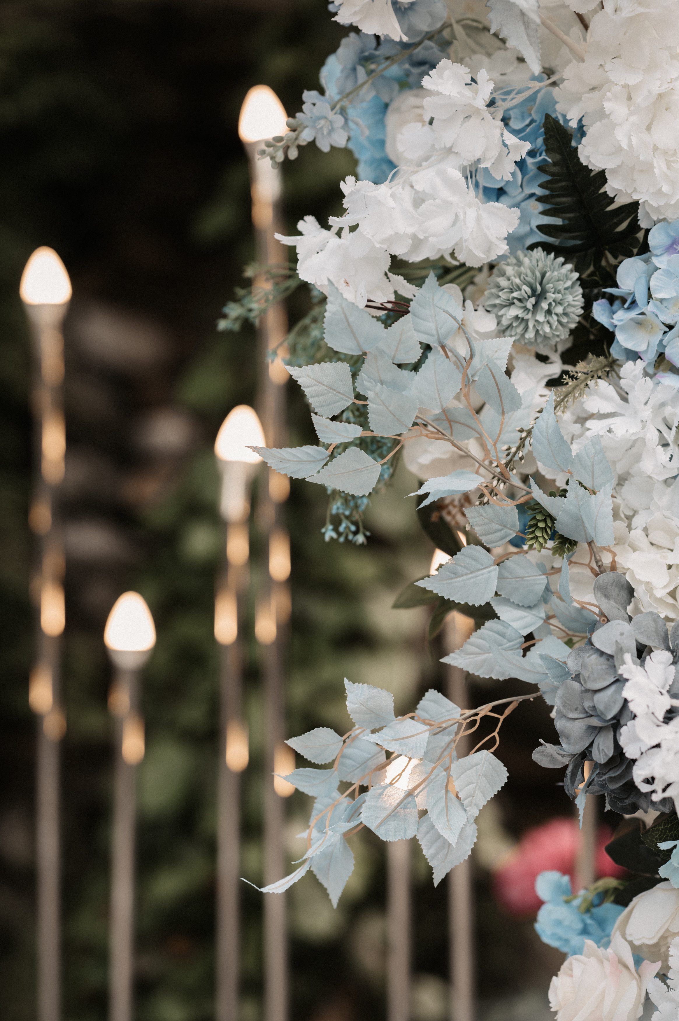 Жить в кайф. Свадебный фотограф Александр Давыдов