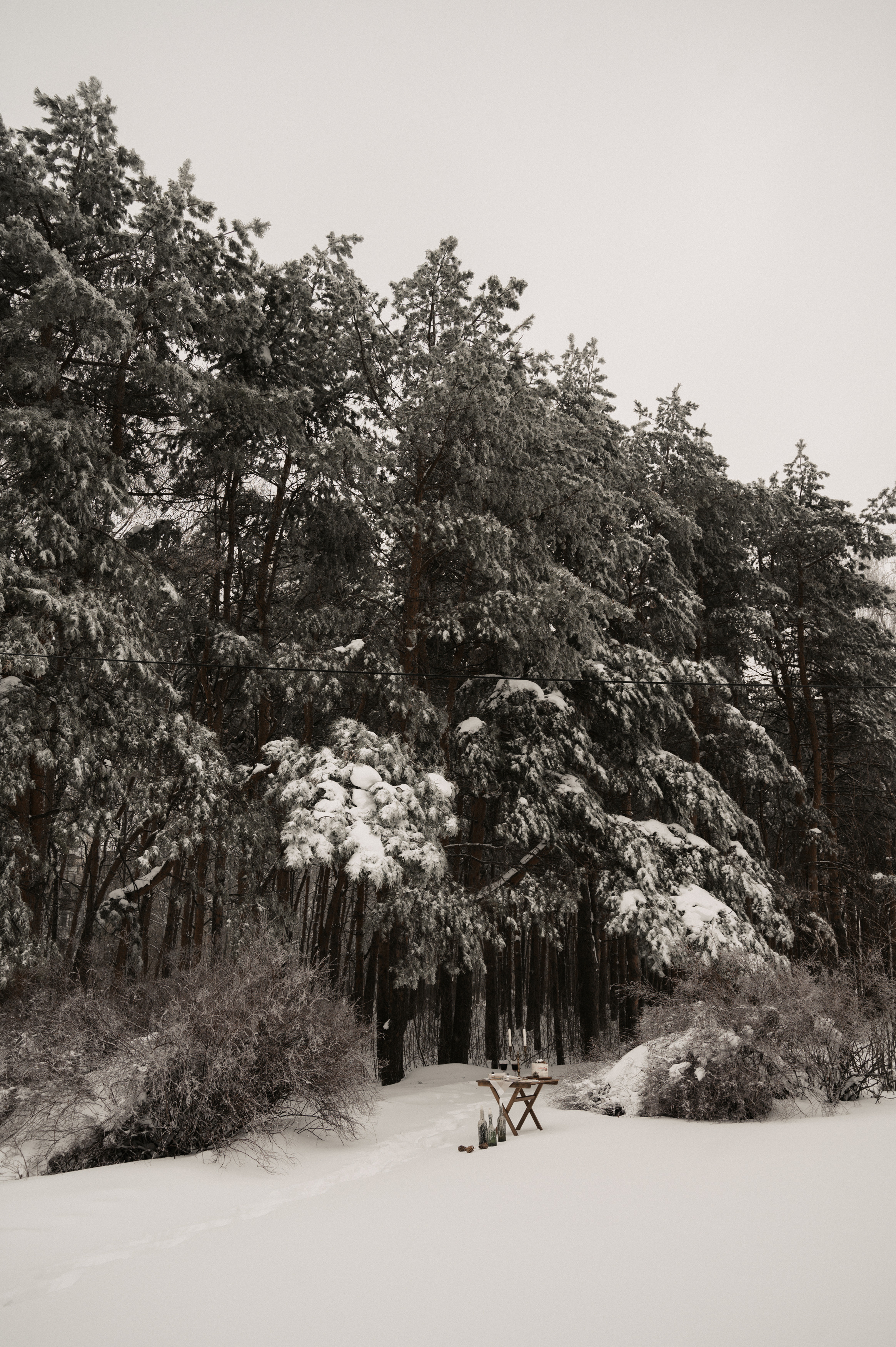 Для двоих. Свадебный фотограф Александр Давыдов
