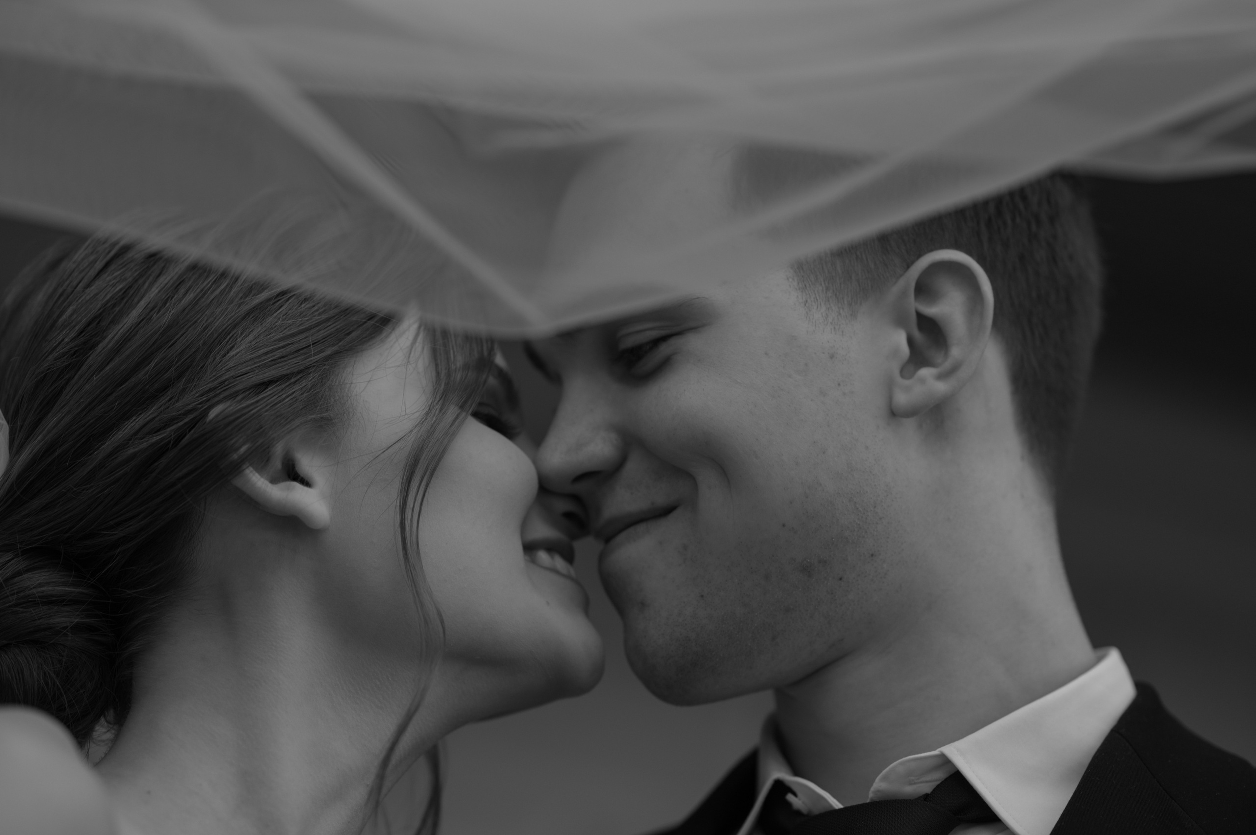 Саша+Даша. Свадебный фотограф Александр Давыдов