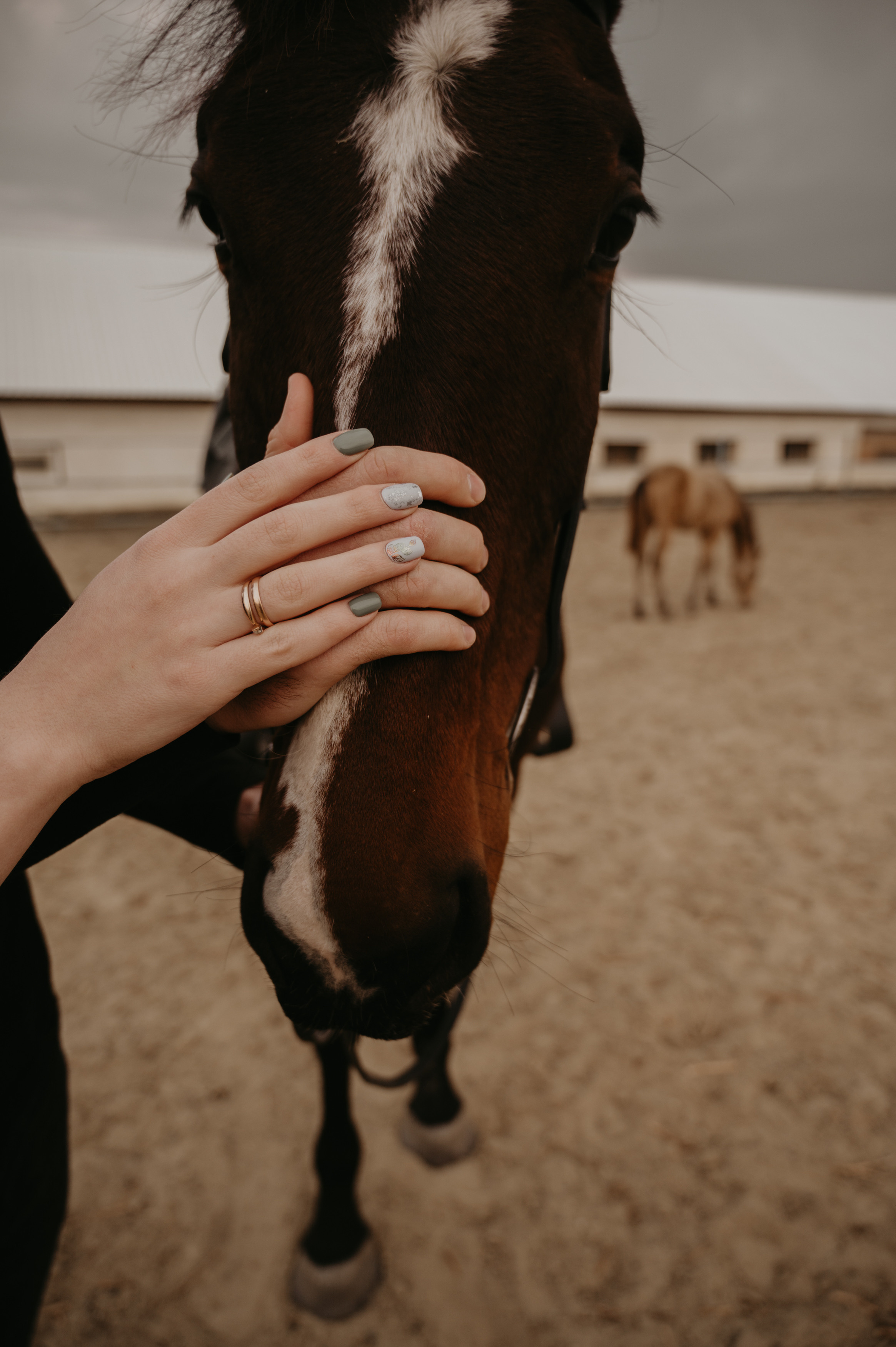 …. Свадебный фотограф Александр Давыдов