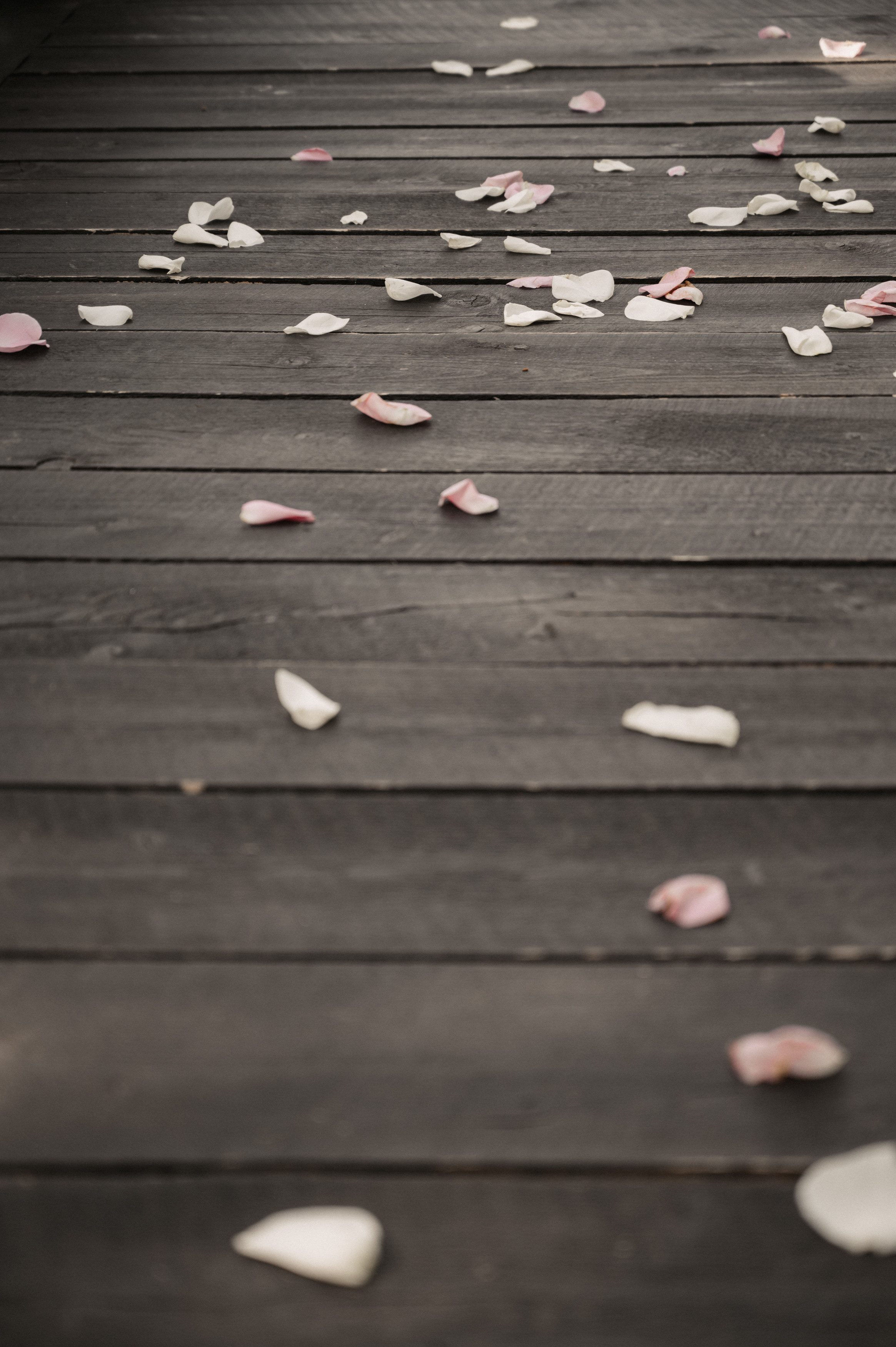 Счастье у озера. Свадебный фотограф Александр Давыдов