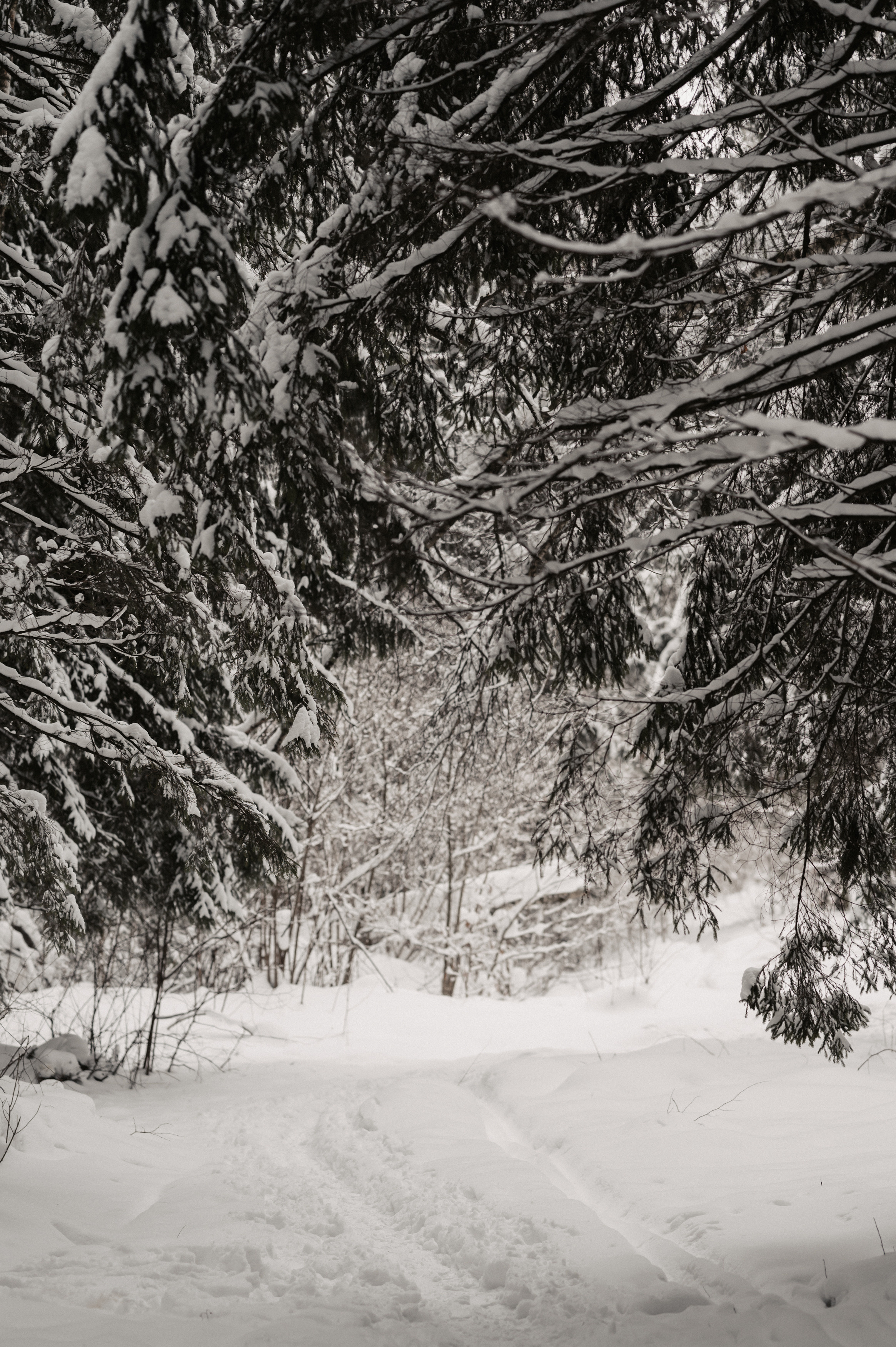 …. Свадебный фотограф Александр Давыдов
