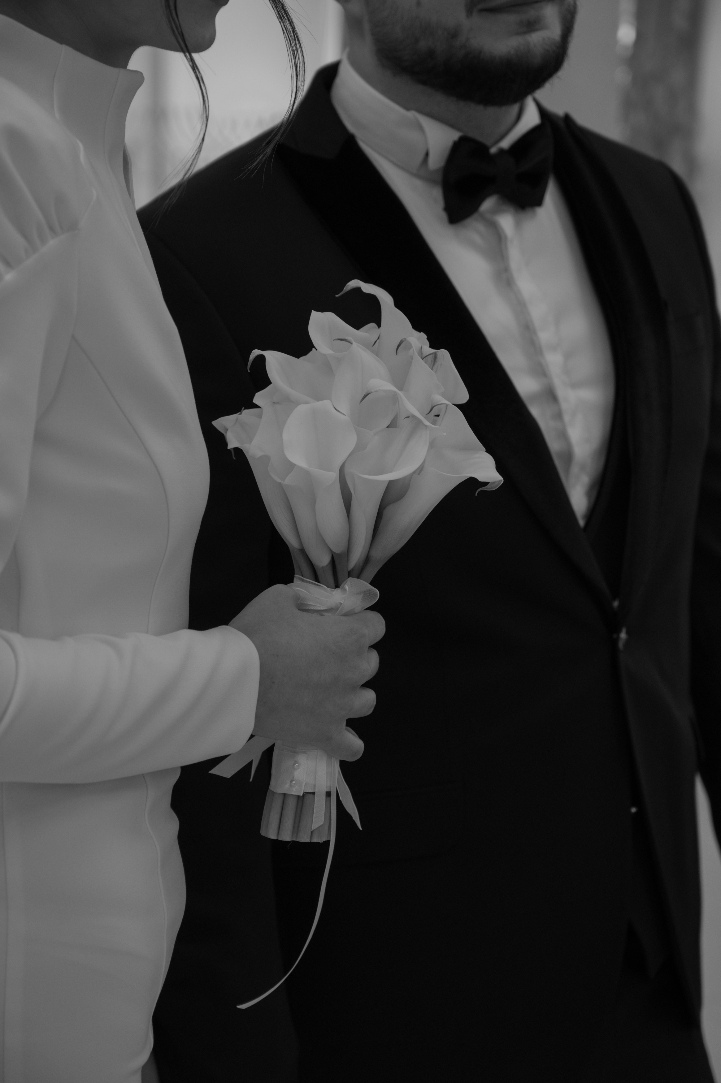 Софья и Илья. Свадебный фотограф Александр Давыдов