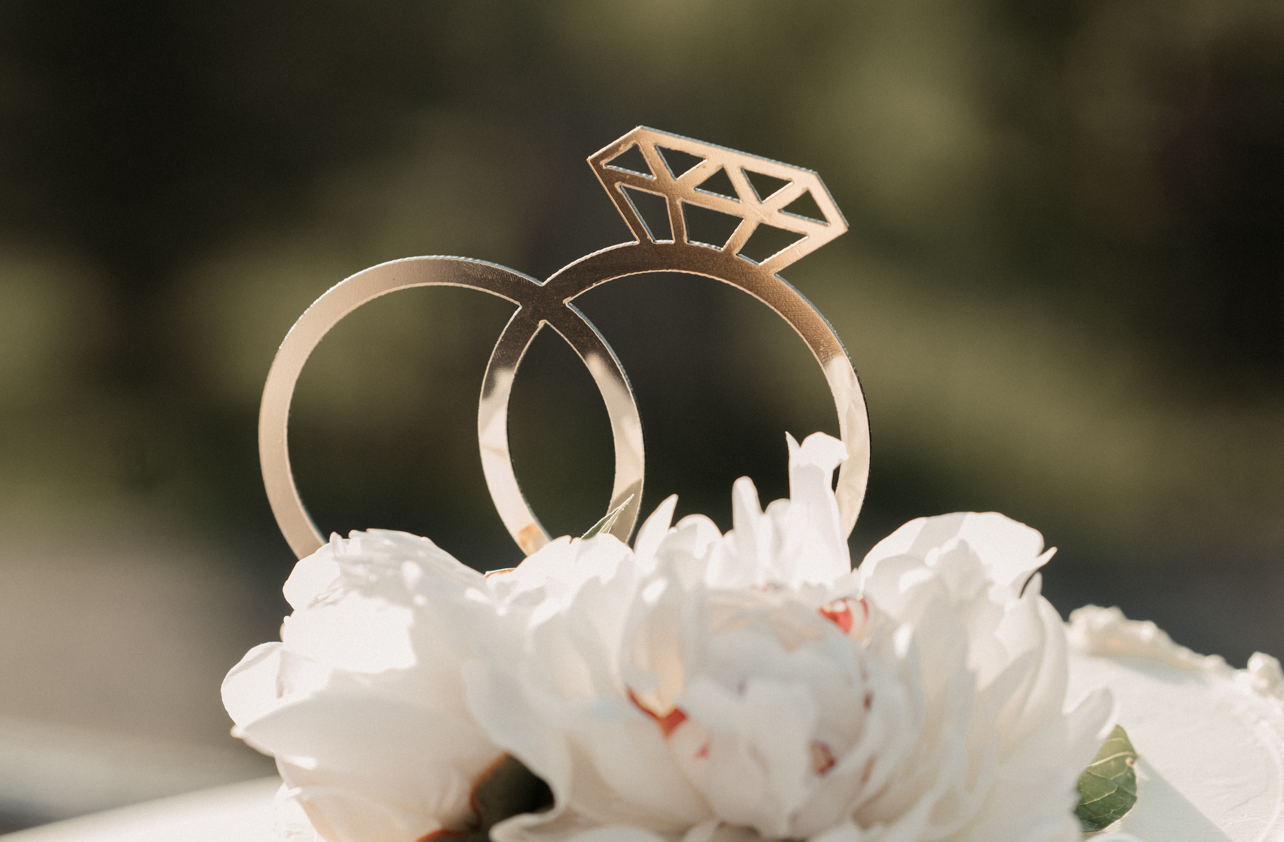 Полина и Роман. Свадебный фотограф Александр Давыдов