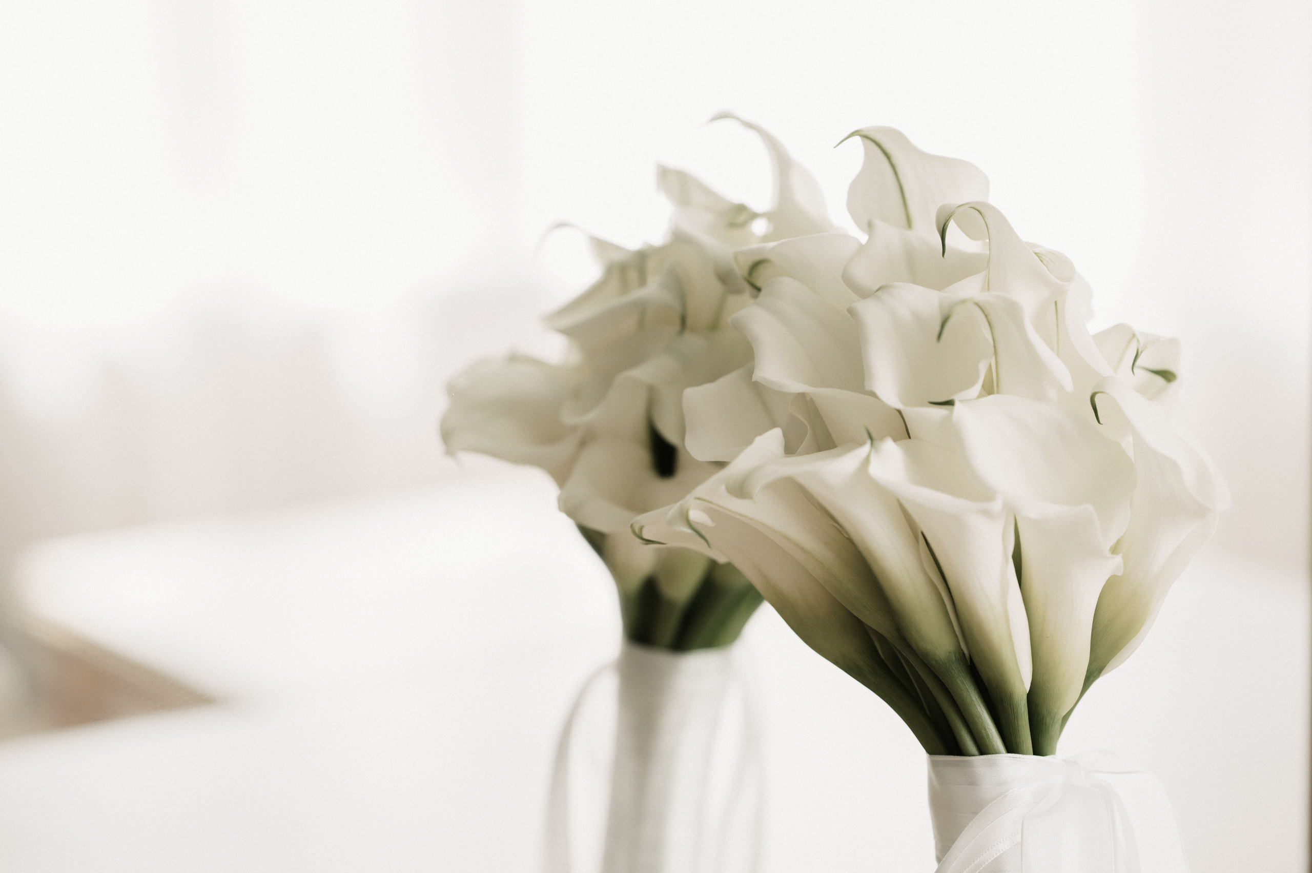 Софья и Илья. Свадебный фотограф Александр Давыдов