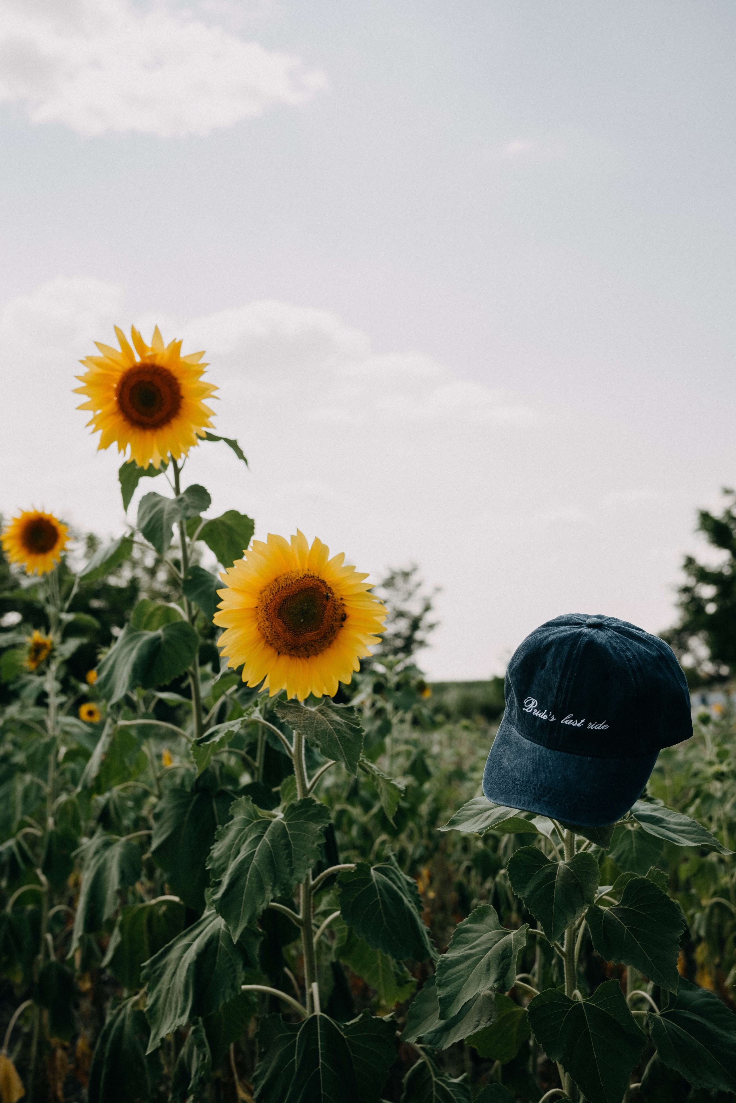 Репортаж экскурсии Сигнахи. Портретный и свадебный фотограф в Тбилиси • xeniqo