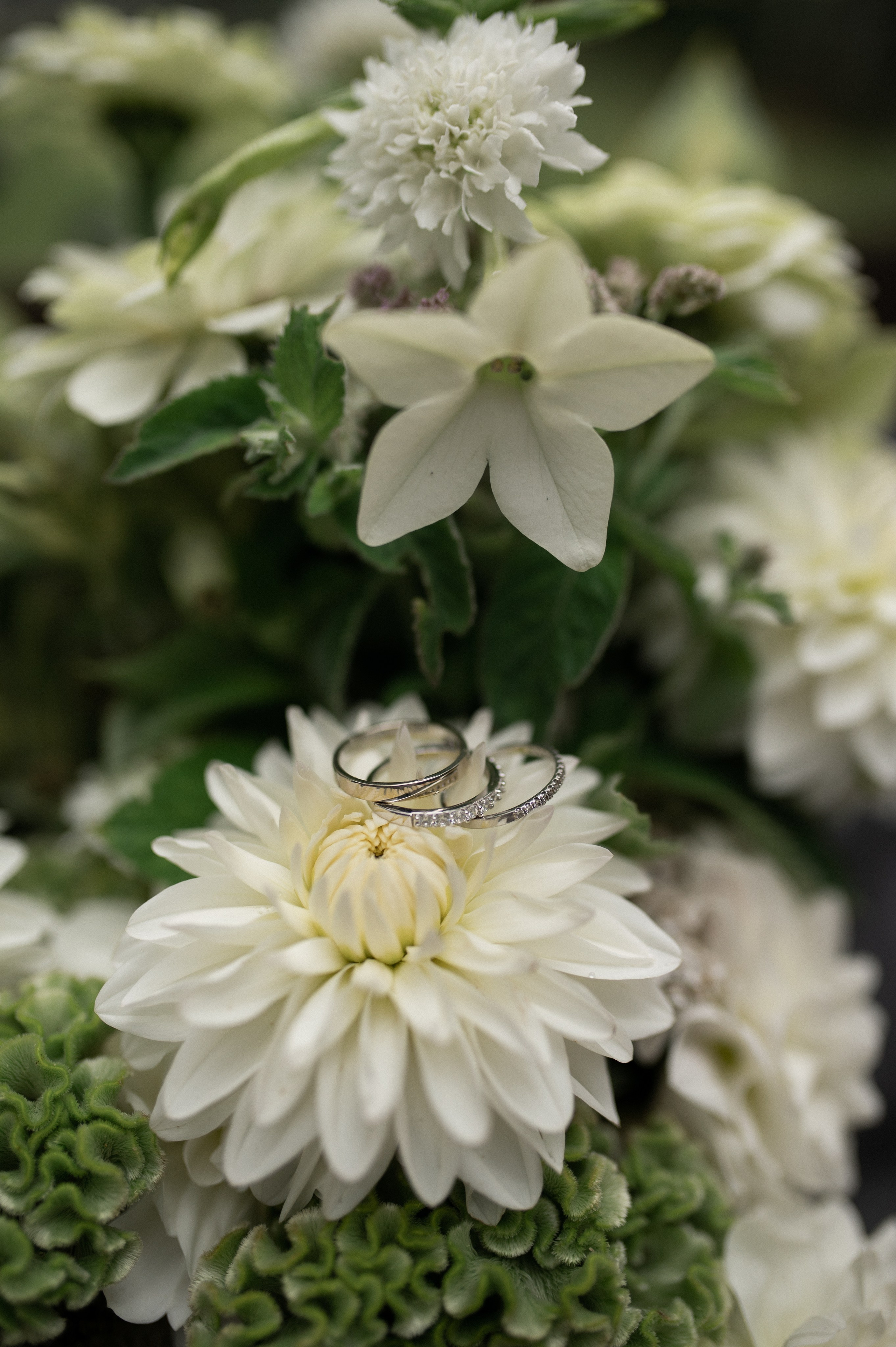 Коля & Вика. Оформление свадеб, декор свадеб Вера Маркова, Москва