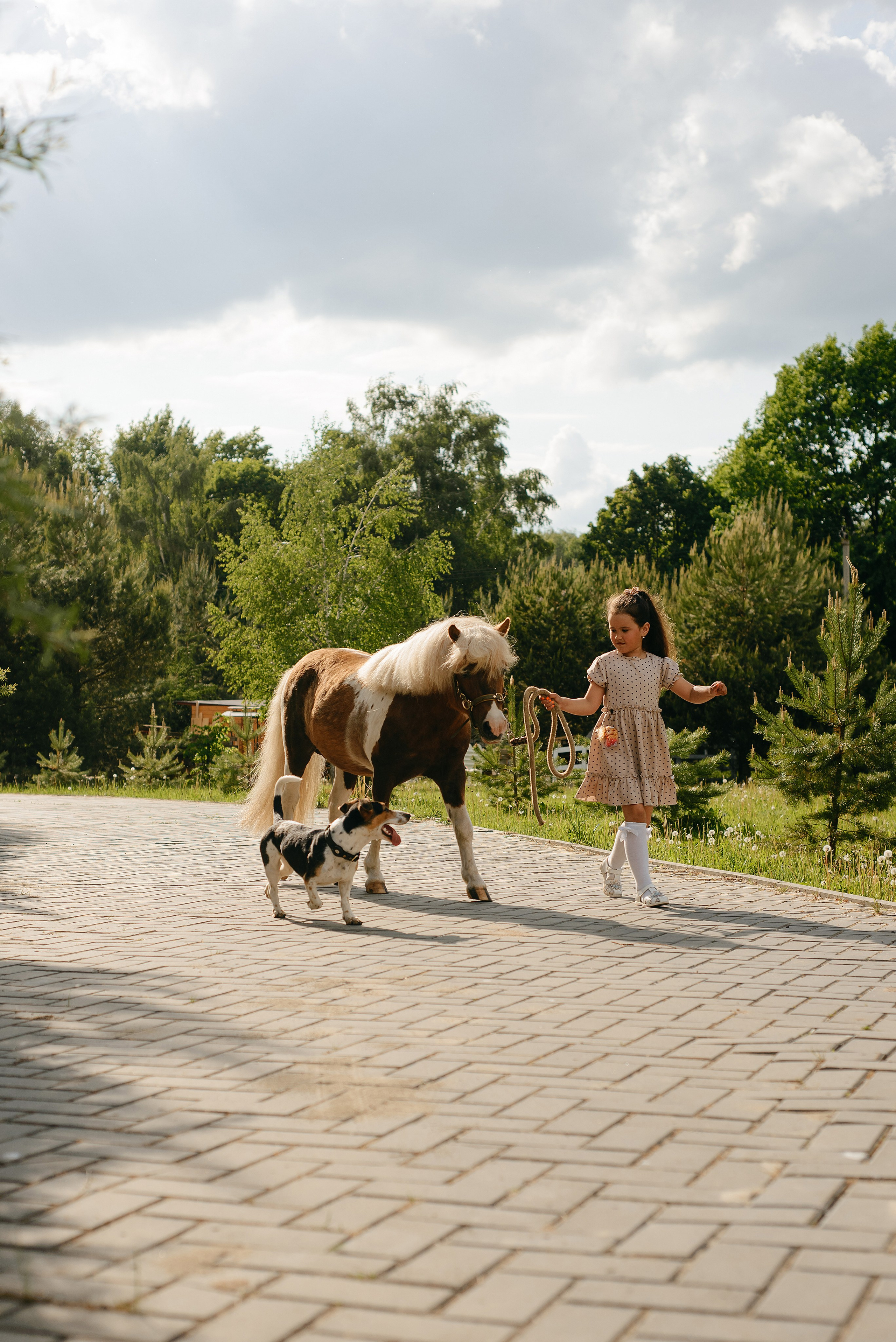 Фотосессии